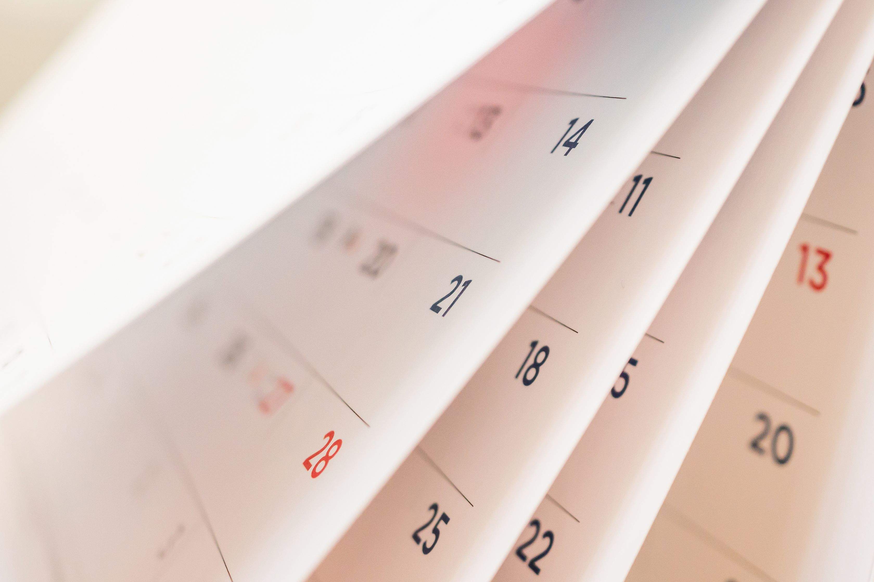 Argazkia: iStock
