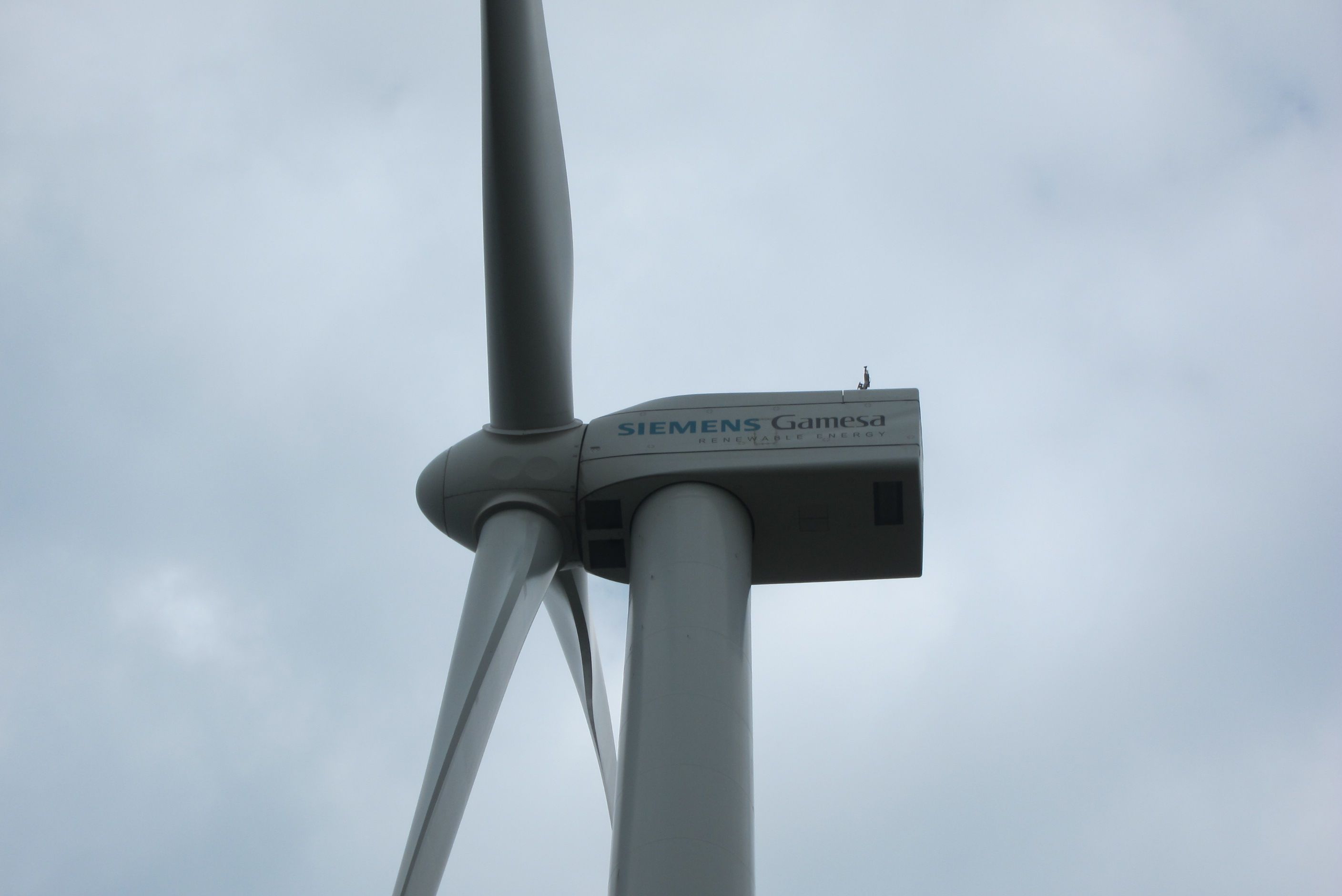 Argazkia: Siemens Gamesa Argazkia: Siemens Gamesa