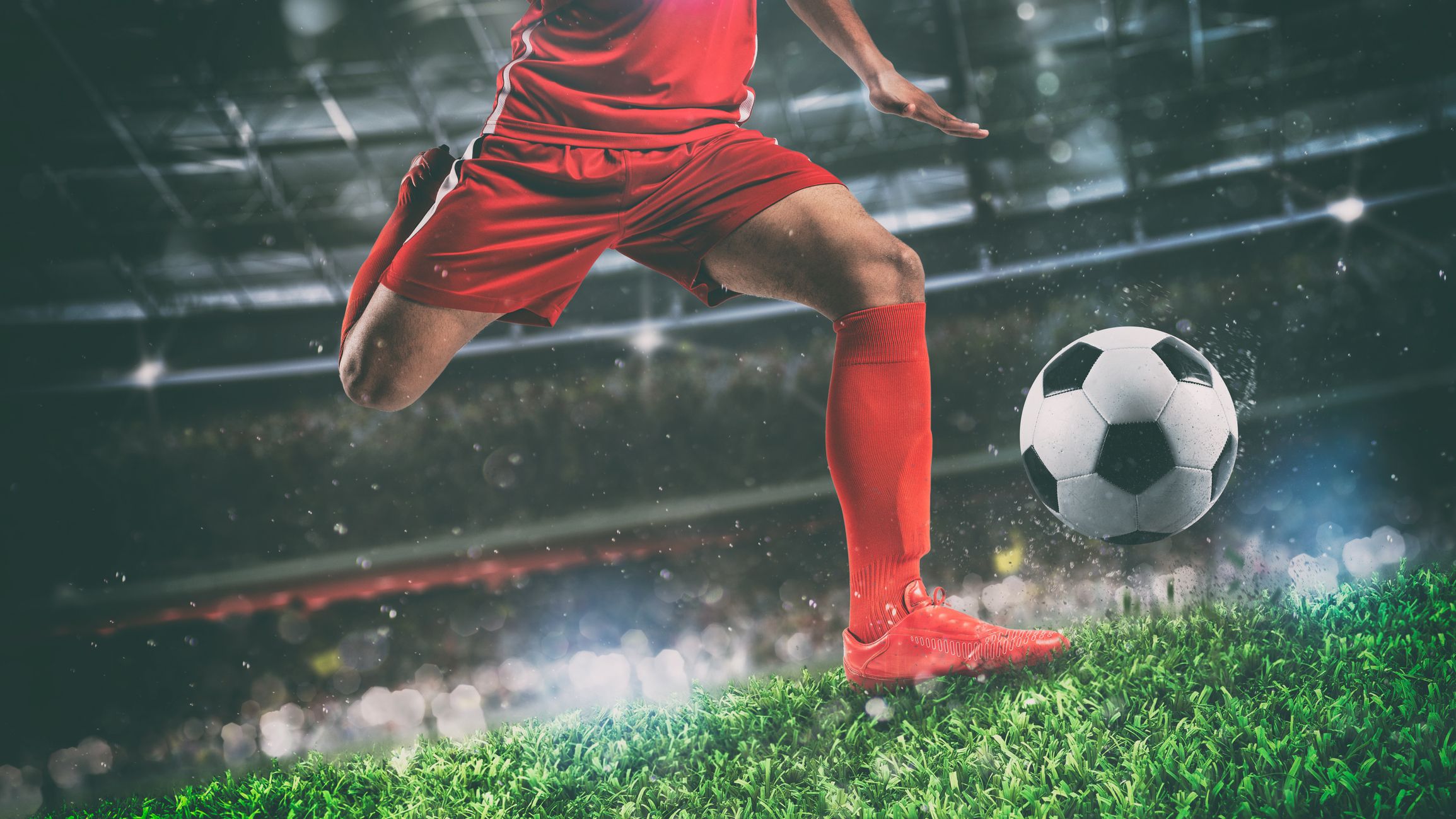 Argazkia: istock Argazkia: istock