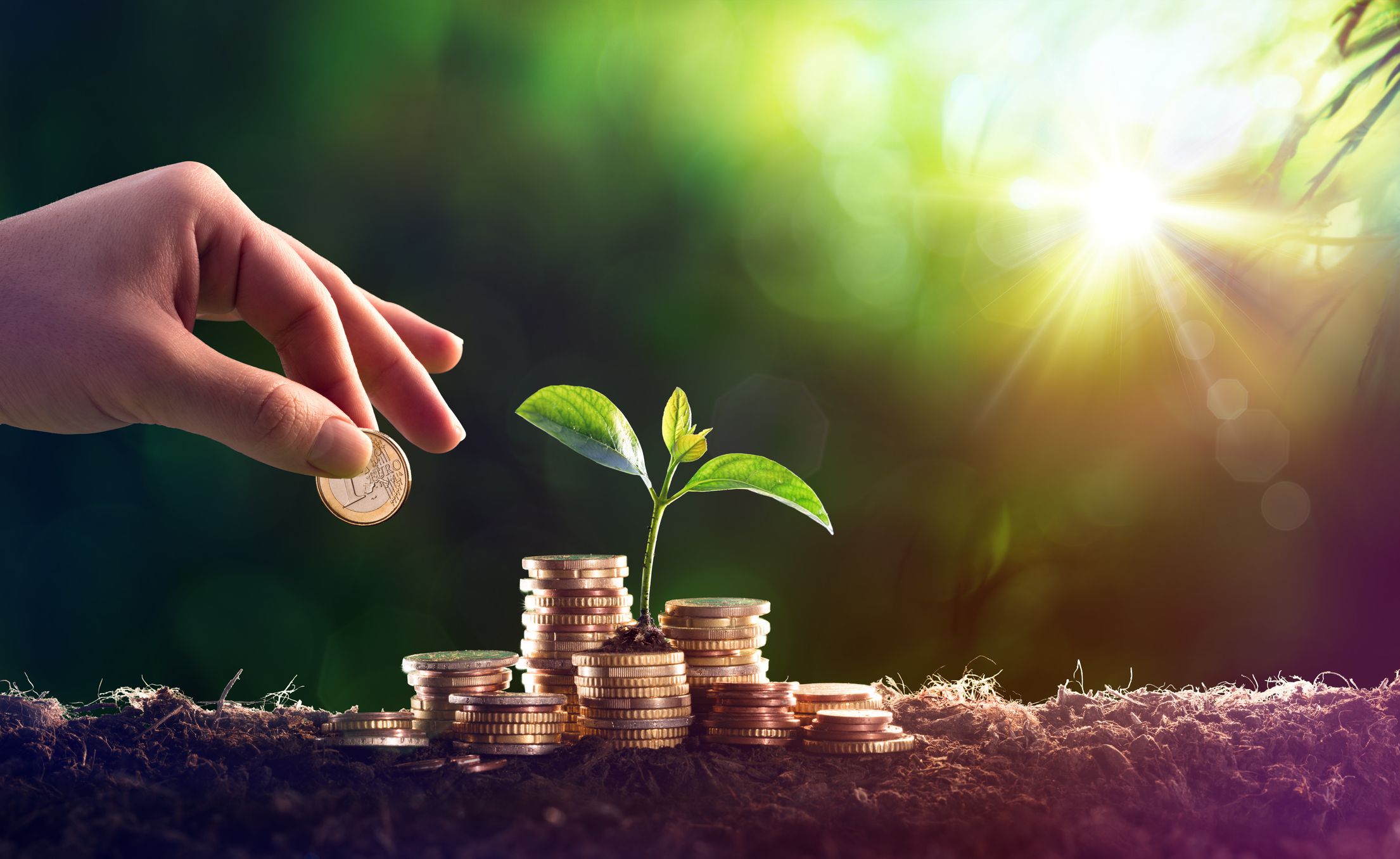 Argazkia: iStock Argazkia: iStock