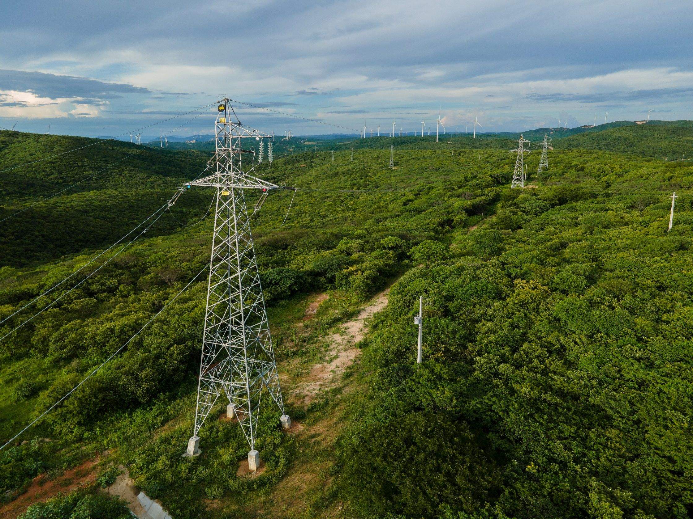 Iberdrolaren linea elektrikoetako bat Brasilen | Argazkia: Iberdrola