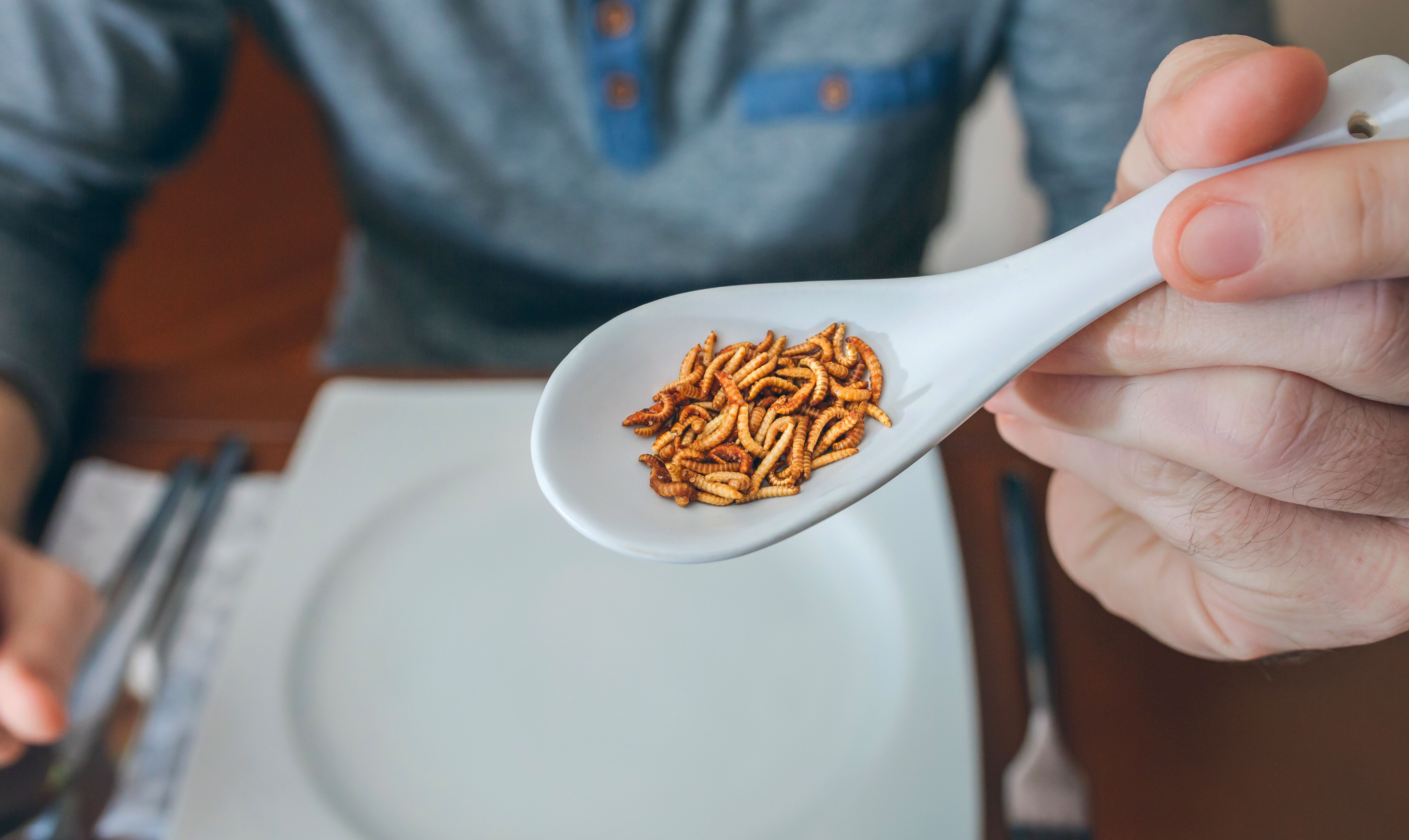 Intsektuek onura ugari dituzte | Argazkia: iStock Intsektuek onura ugari dituzte | Argazkia: iStock