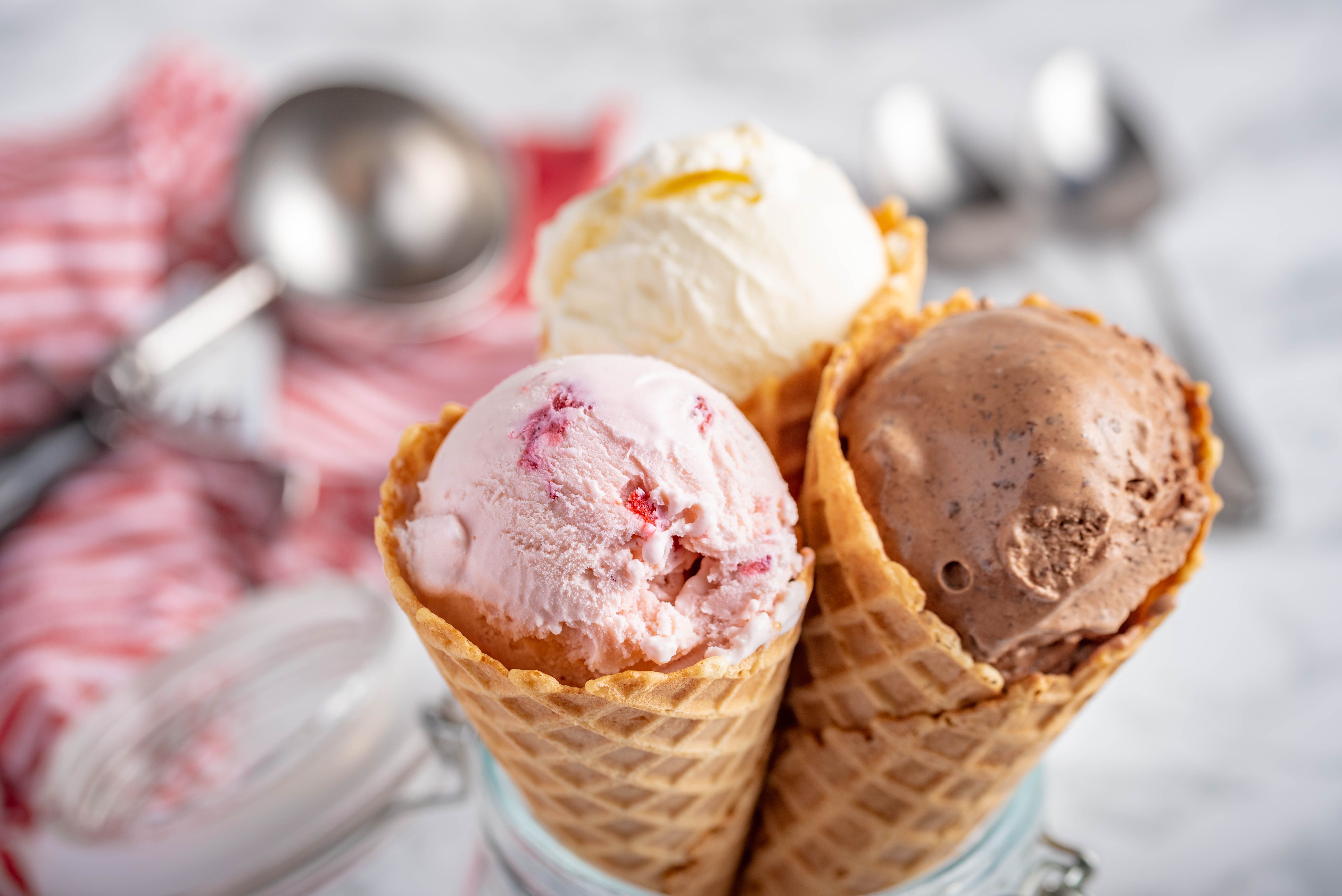 Argazkia: Shutterstock Argazkia: Shutterstock