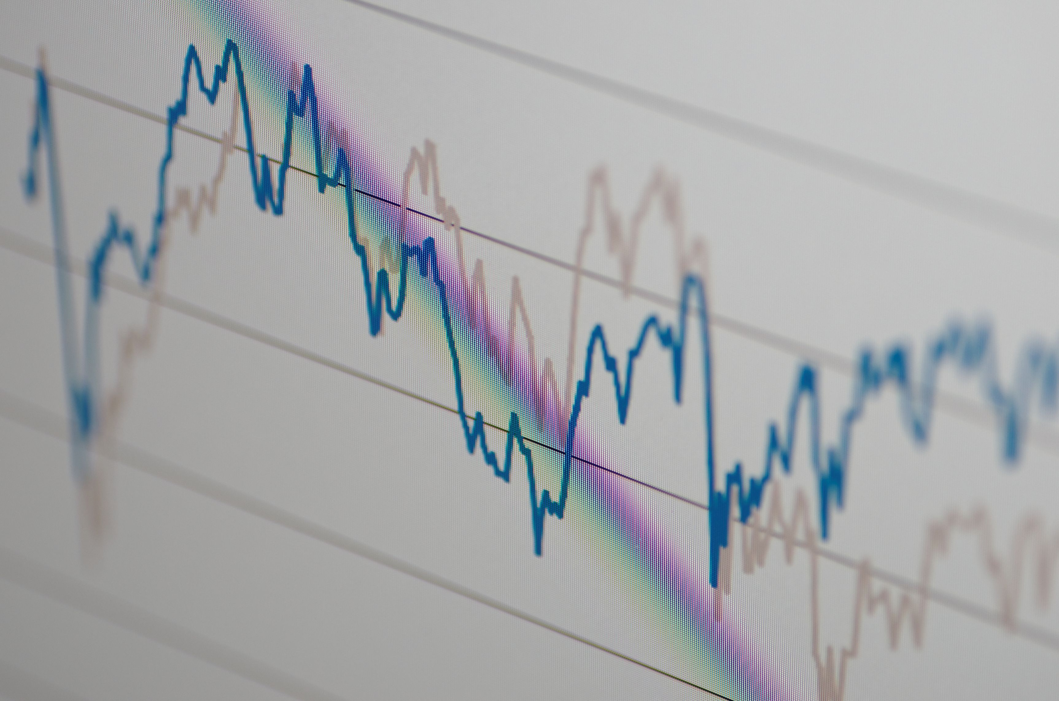 Argazkia: iStock Argazkia: iStock