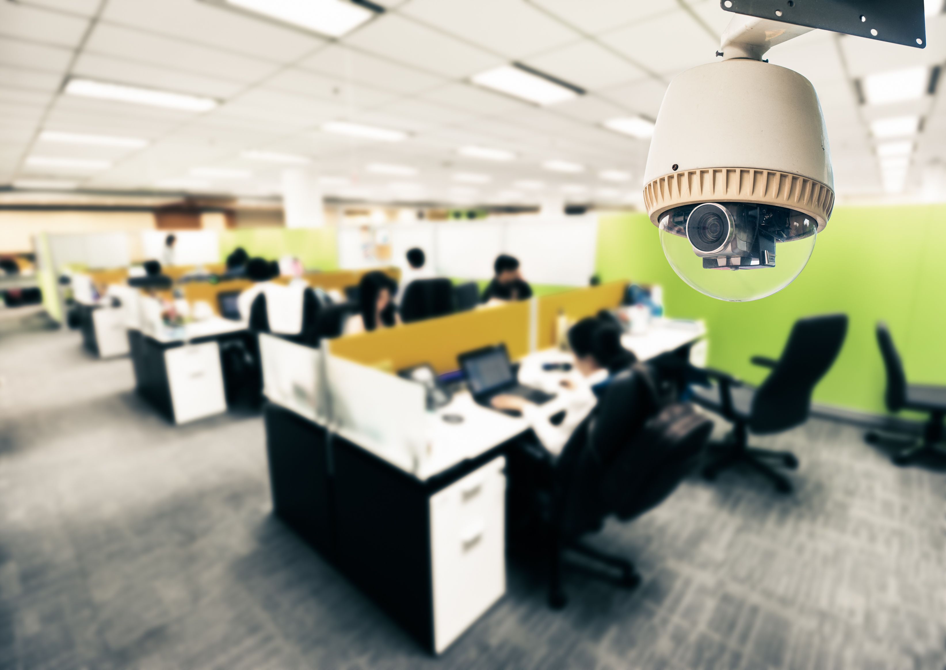 Argazkia: iStock Argazkia: iStock