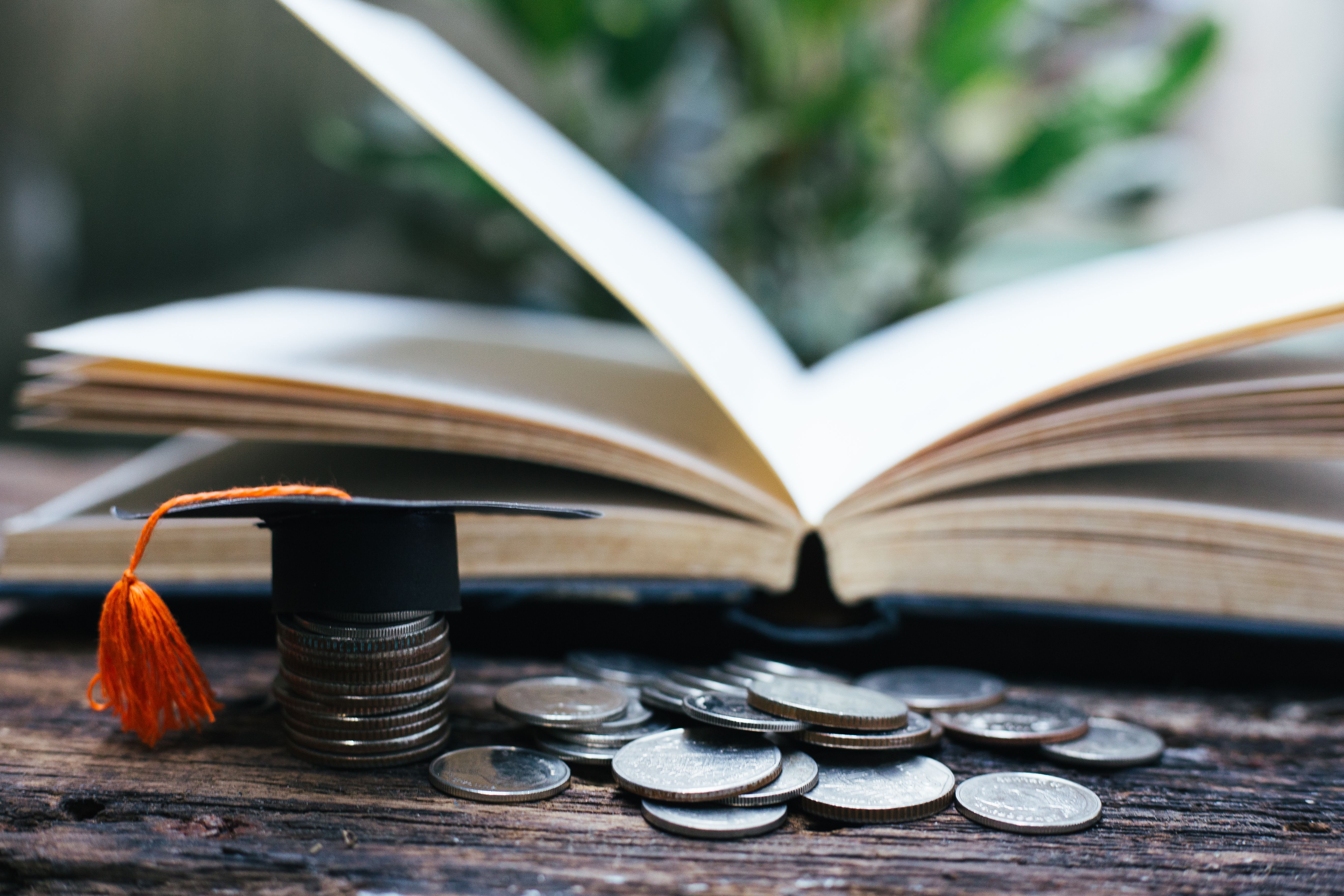 Argazkia: iStock Argazkia: iStock