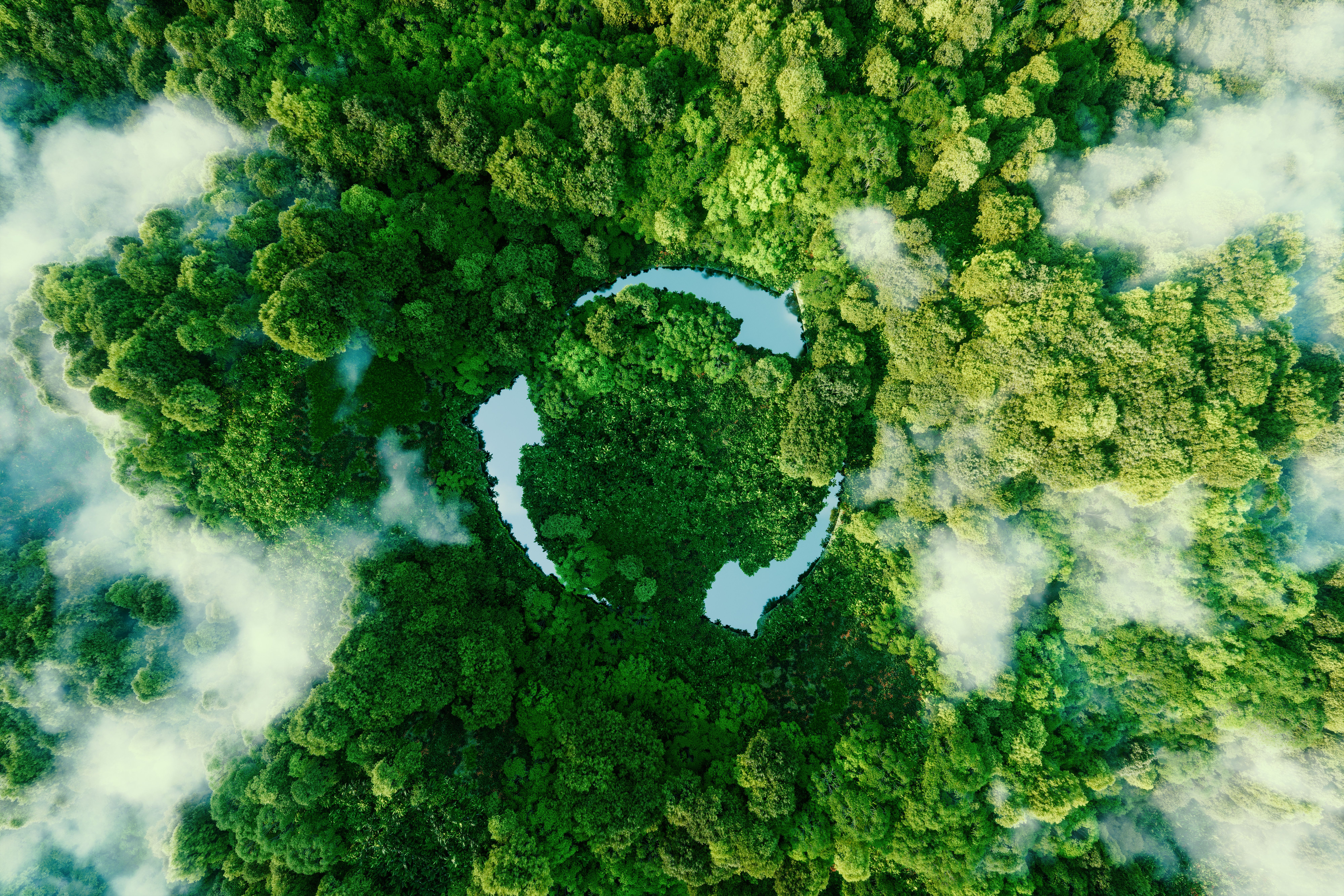 Argazkia: iStock Argazkia: iStock