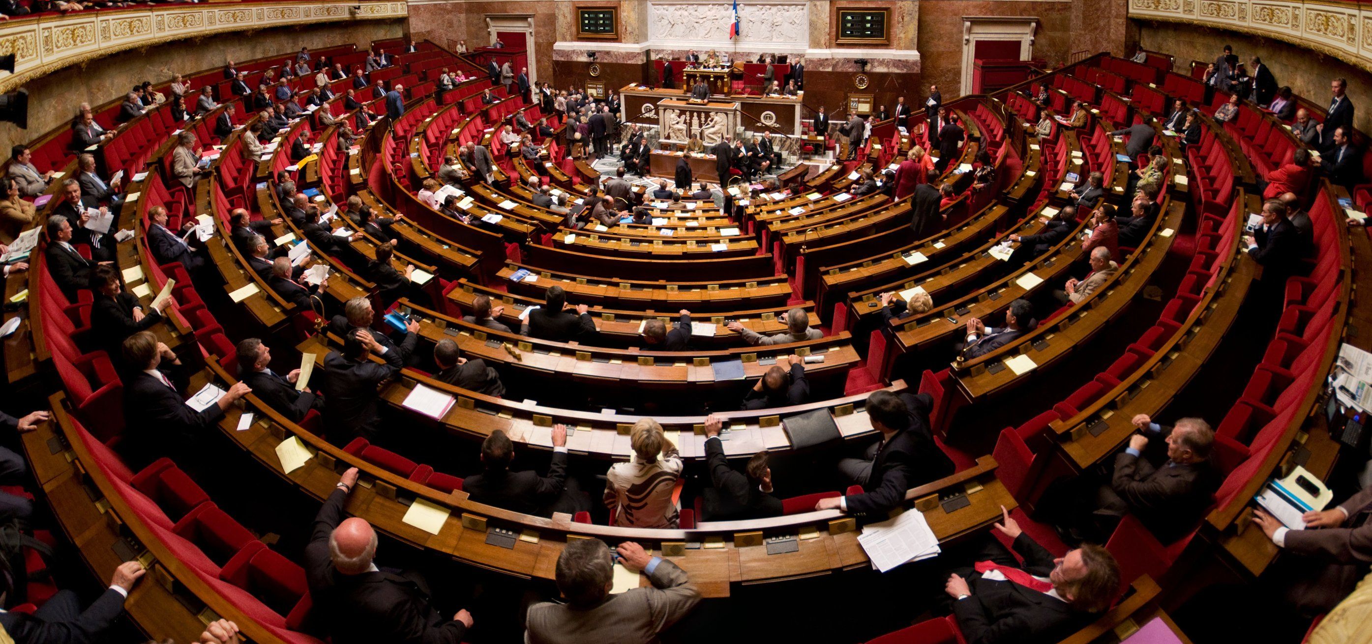 frantzia hemicycle frantzia hemicycle