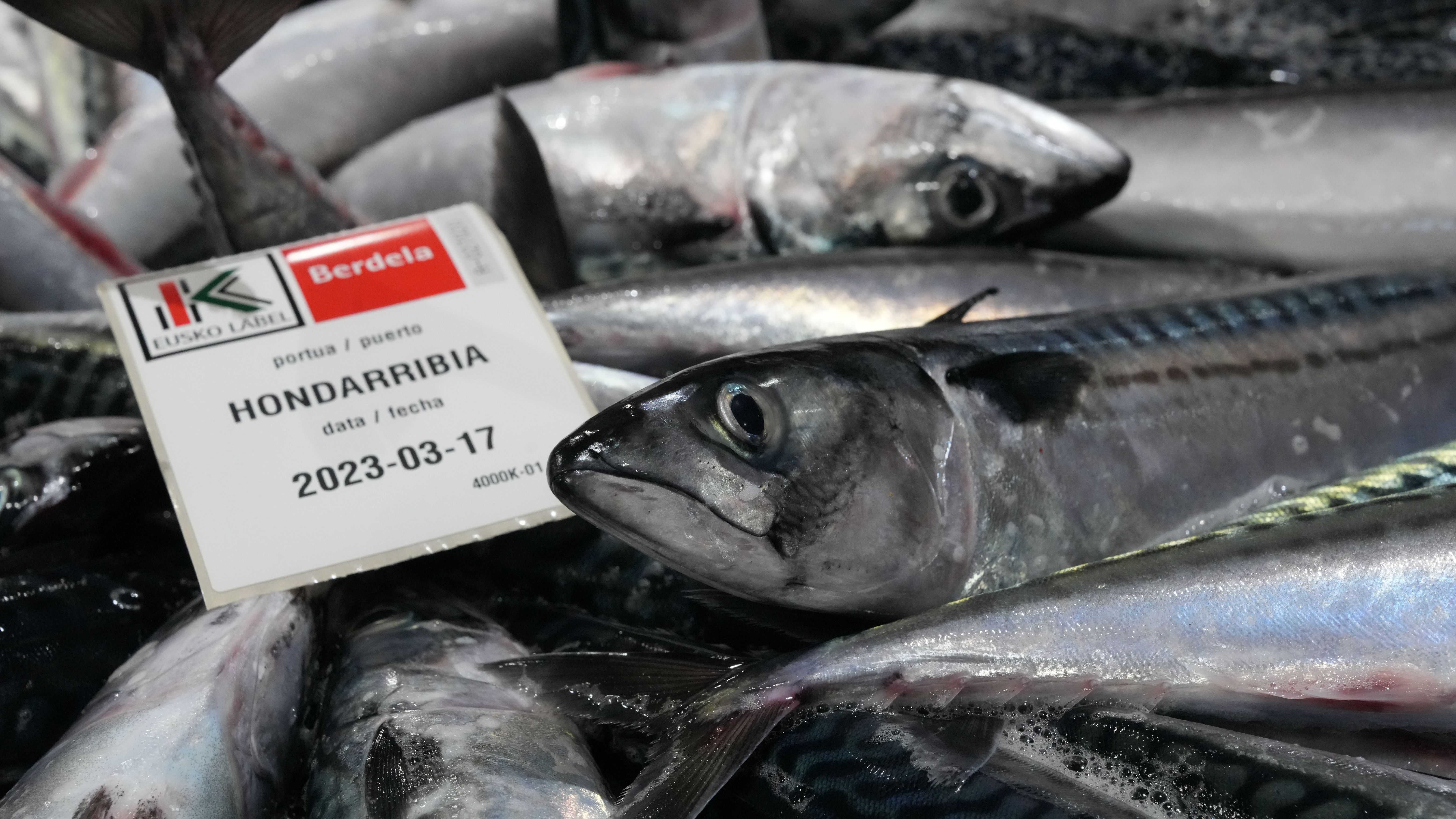 Eusko Label zigiludun berdela | Argazkia: Irekia Eusko Label zigiludun berdela | Argazkia: Irekia