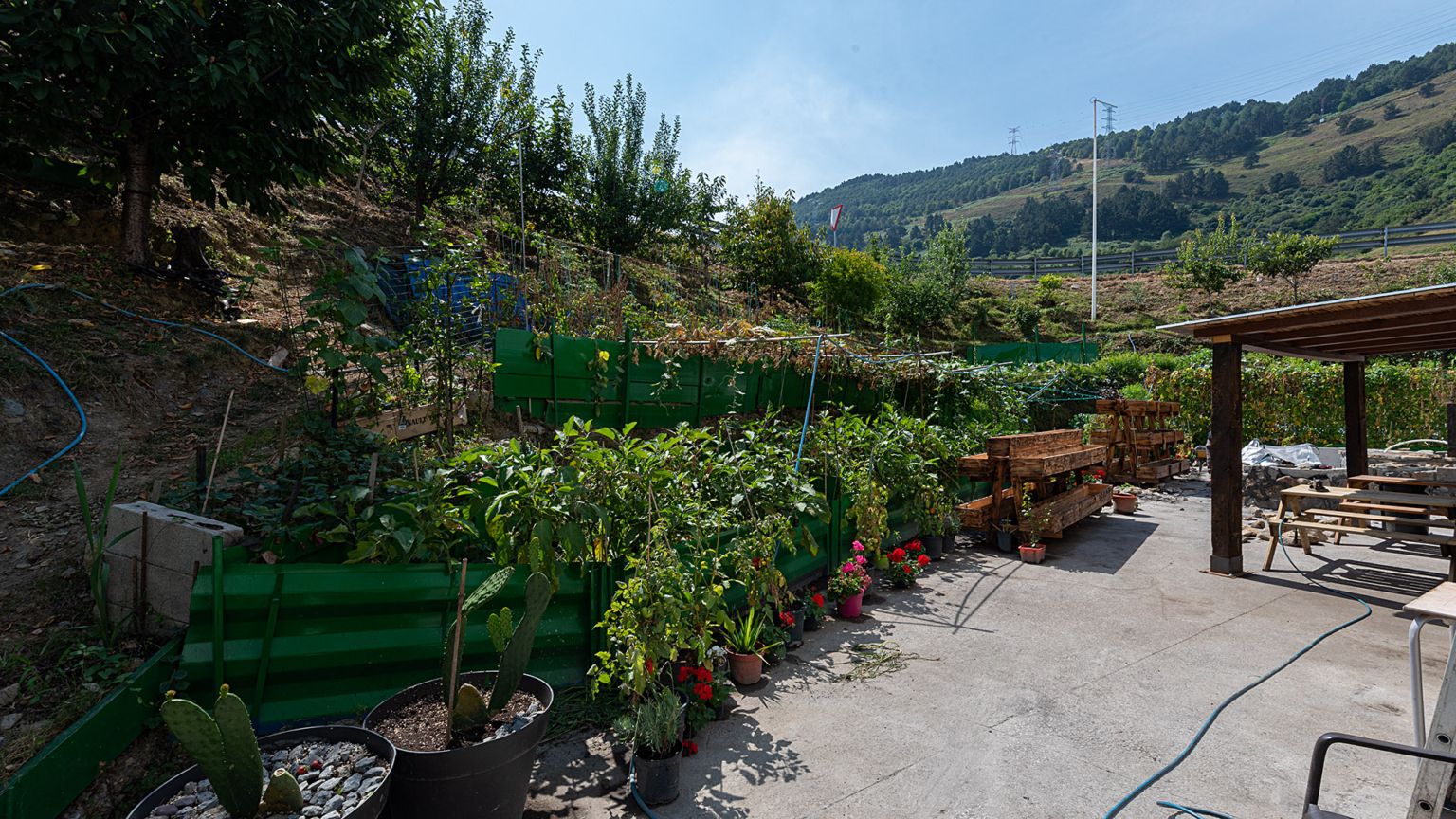 BilbaoTruckek enpresa kanpoaldean duen baratza | Argazkia: Spri BilbaoTruckek enpresa kanpoaldean duen baratza | Argazkia: Spri
