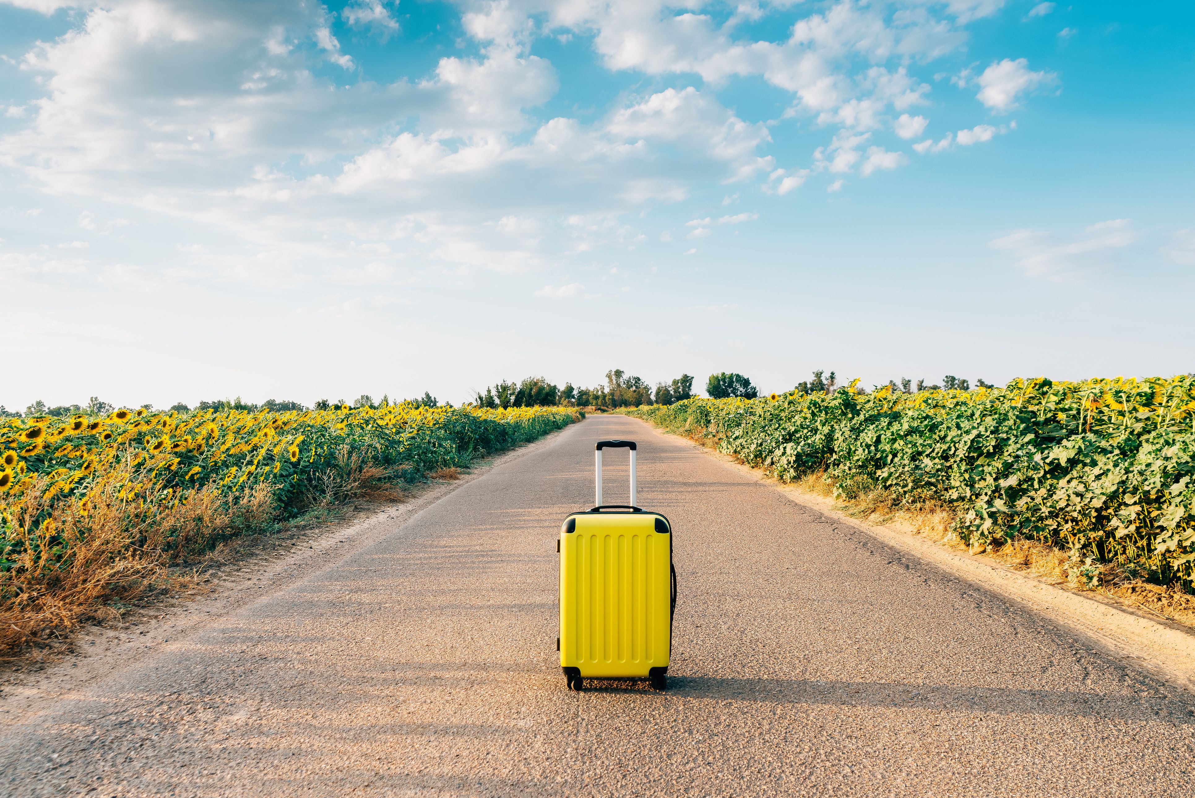 Argazkia: iStock Argazkia: iStock