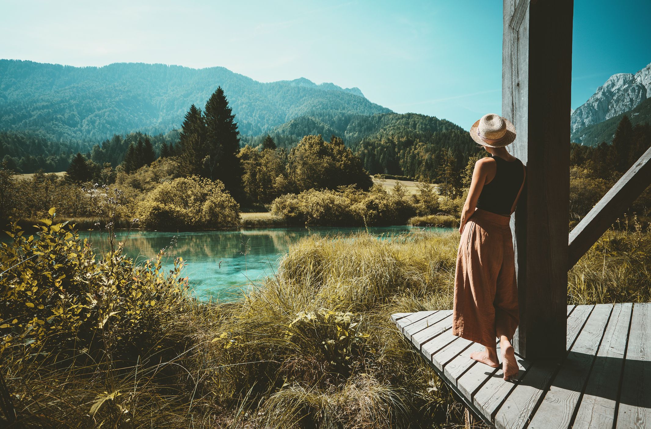 Argazkia: iStock Argazkia: iStock