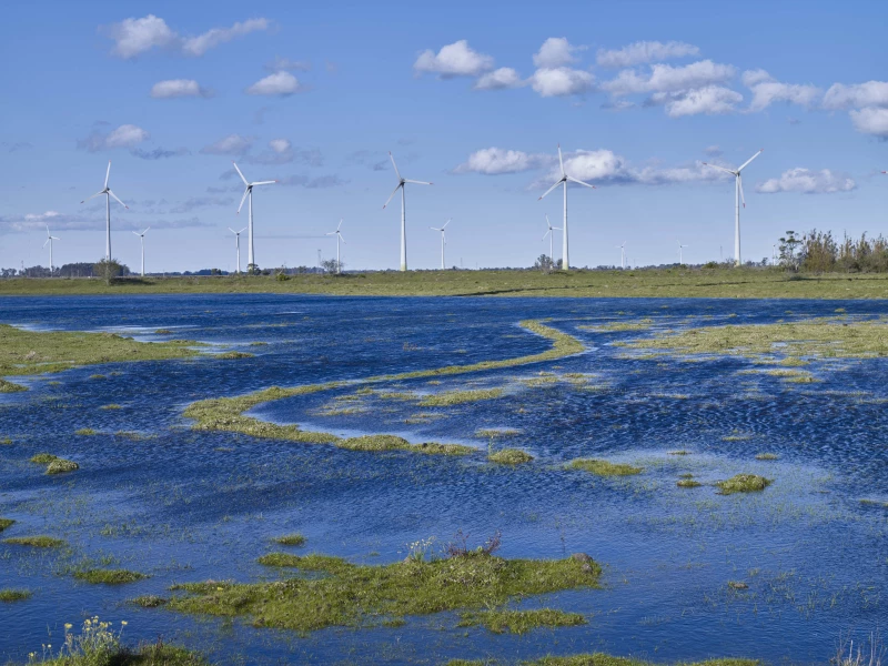Enerfin enpresaren parke eoliko bat Brasilen | Argazkia: Elecnor Enerfin enpresaren parke eoliko bat Brasilen | Argazkia: Elecnor