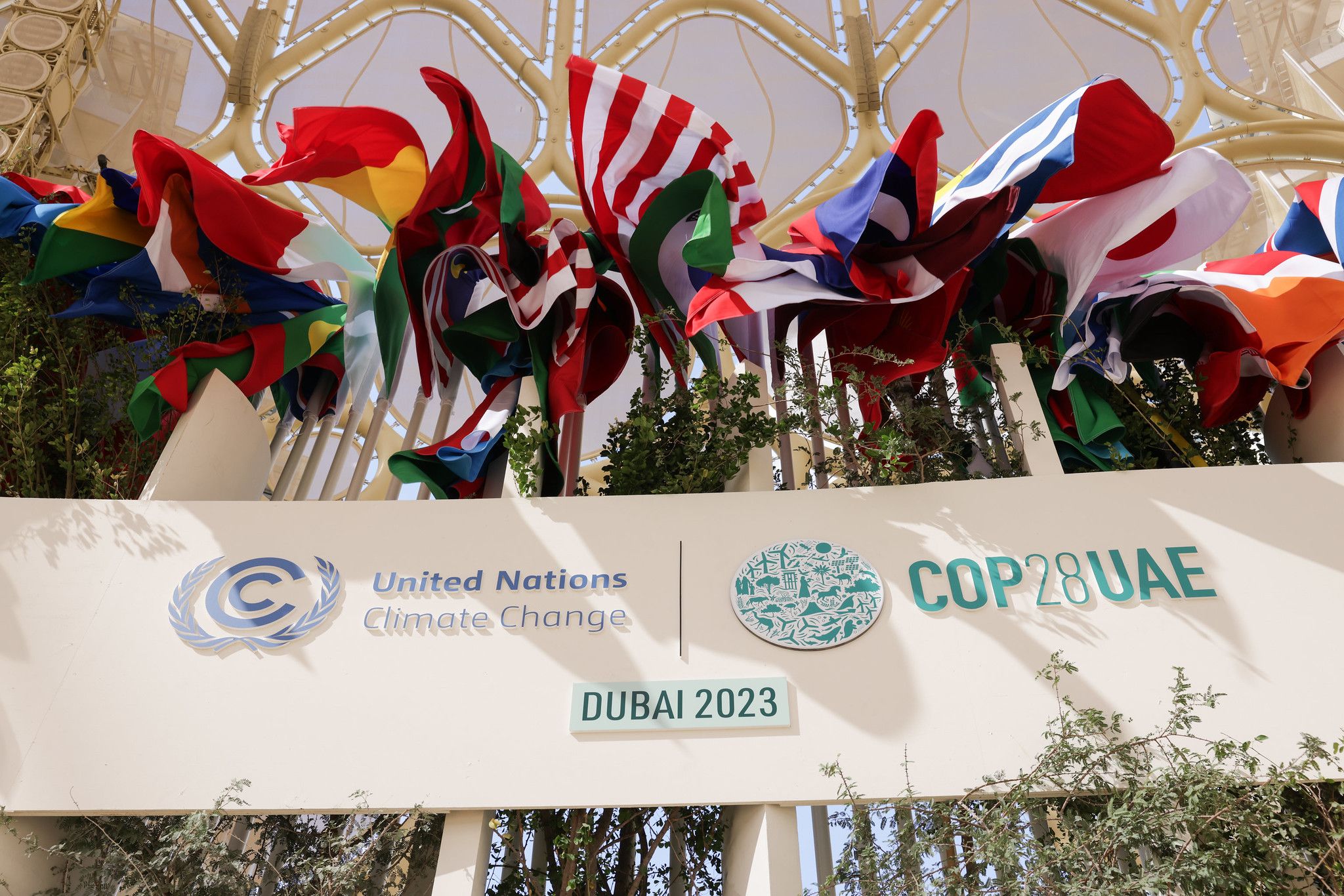 Argazkia: COP28/Christophe Viseux