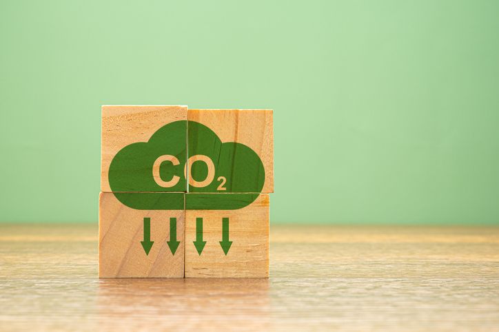 Argazkia: iStock Argazkia: iStock