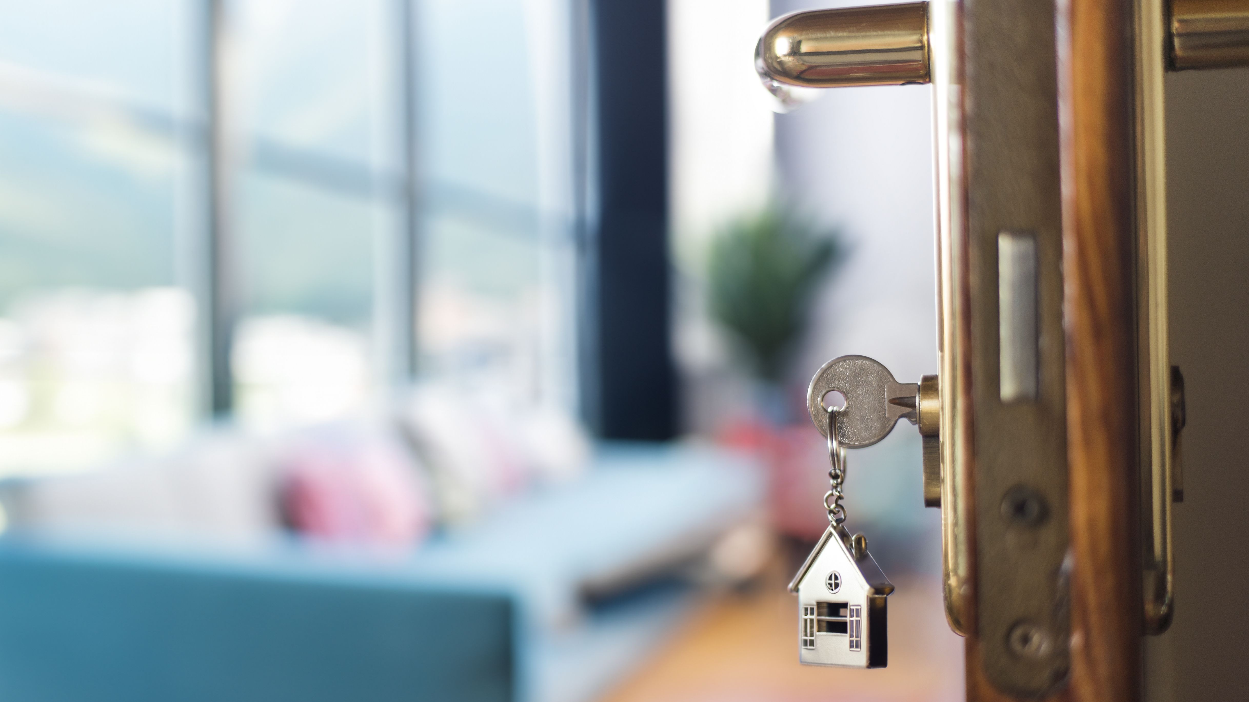 Argazkia: iStock Argazkia: iStock