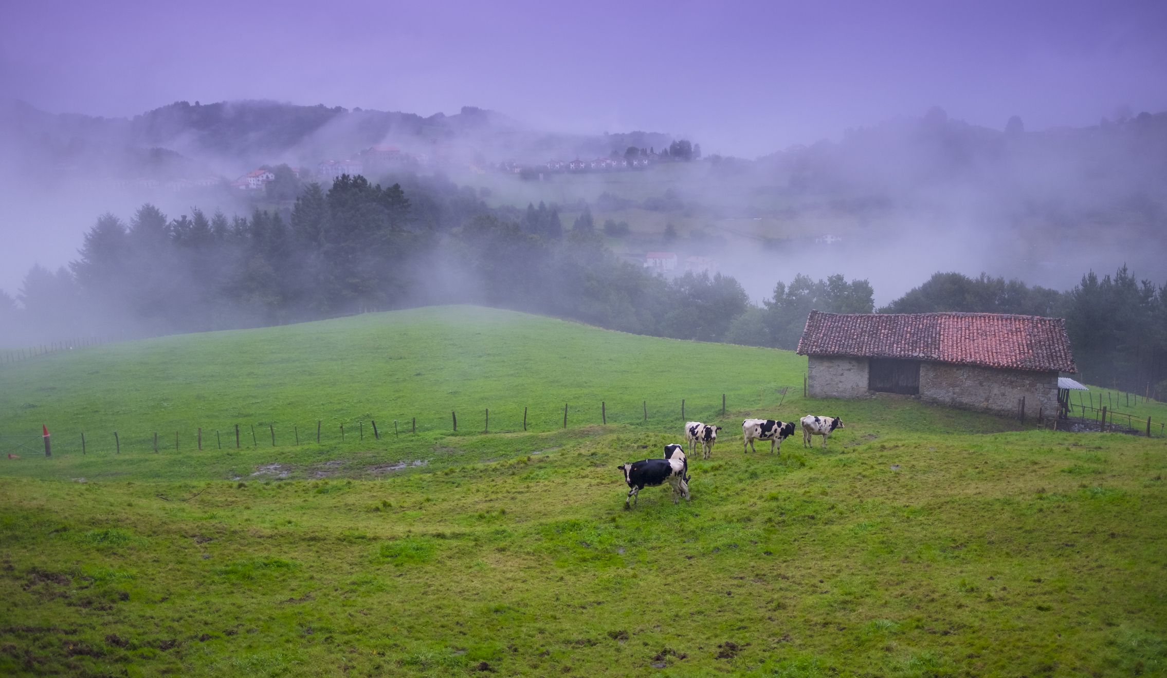 Argazkia: iStock Argazkia: iStock