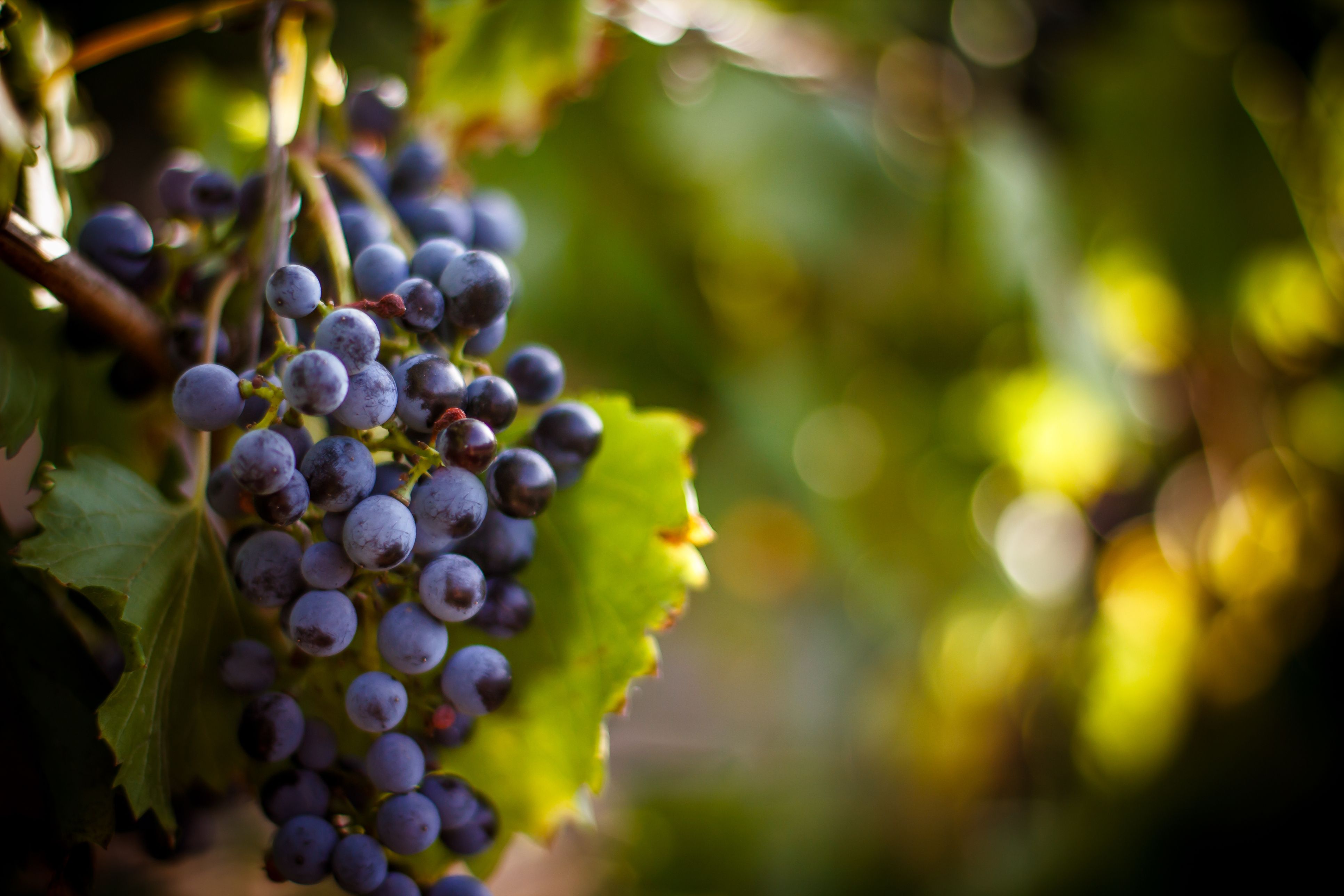 Argazkia: iStock Argazkia: iStock