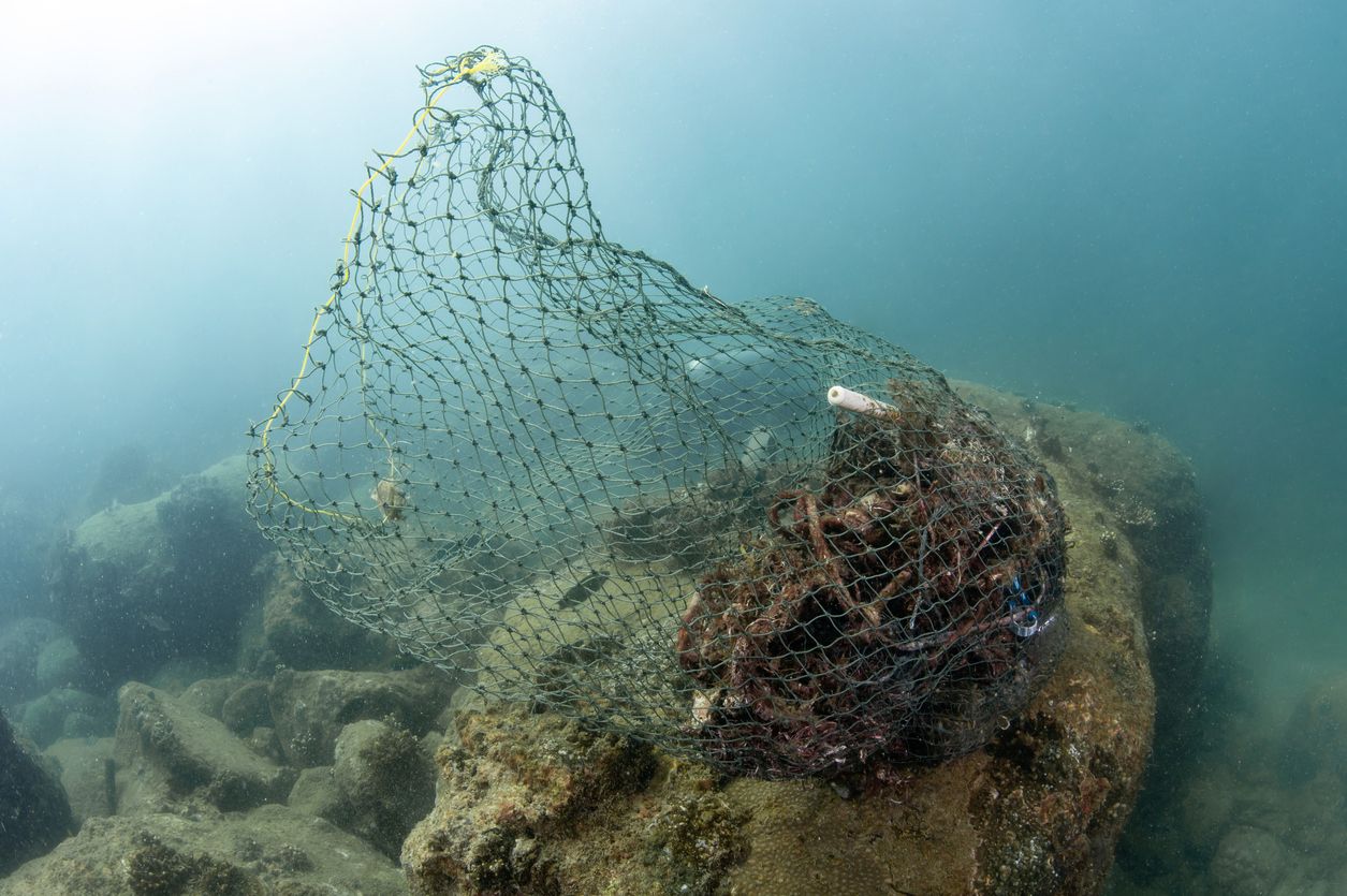"Bio-seine" izeneko soka iraunkorragoak sortzen ere ari dira | Argazkia: iStock "Bio-seine" izeneko soka iraunkorragoak sortzen ere ari dira | Argazkia: iStock
