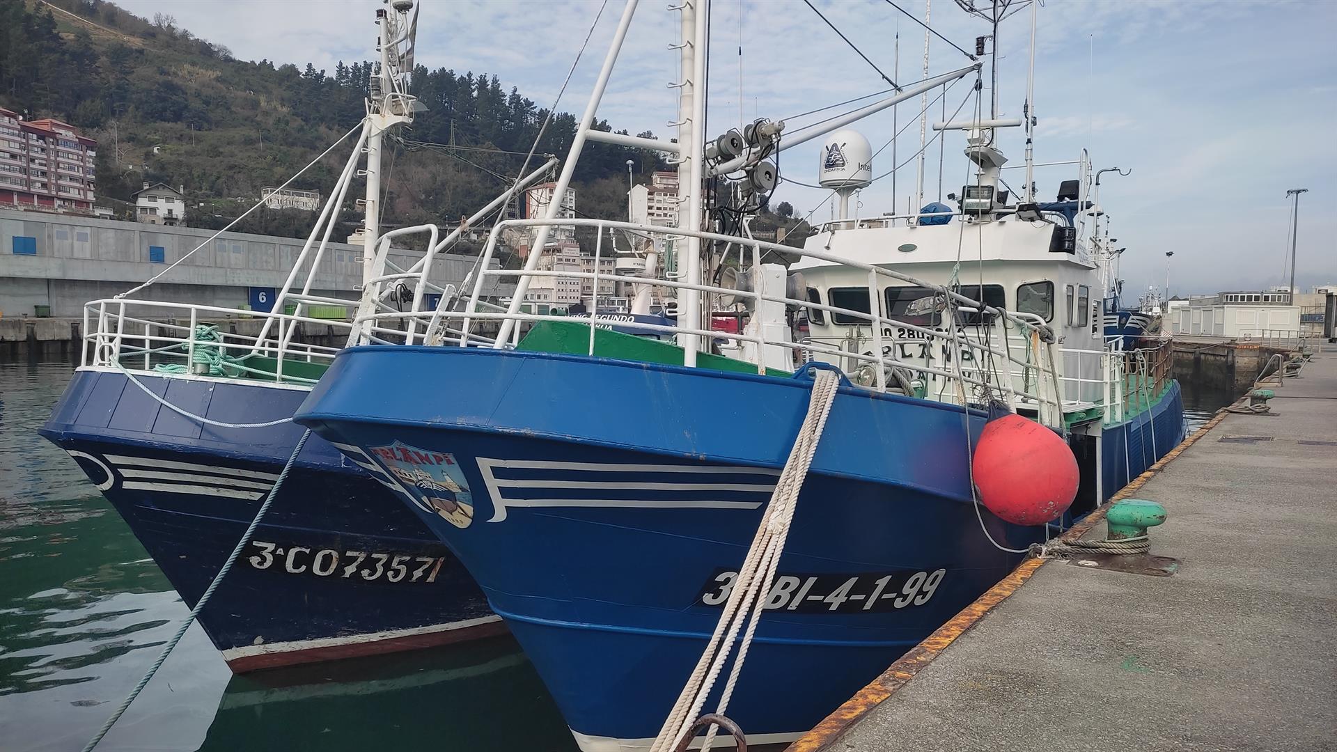 Berdela arrantzatzeko kuota ia %22 jaitsiko da | Argazkia: Europa Press Berdela arrantzatzeko kuota ia %22 jaitsiko da | Argazkia: Europa Press