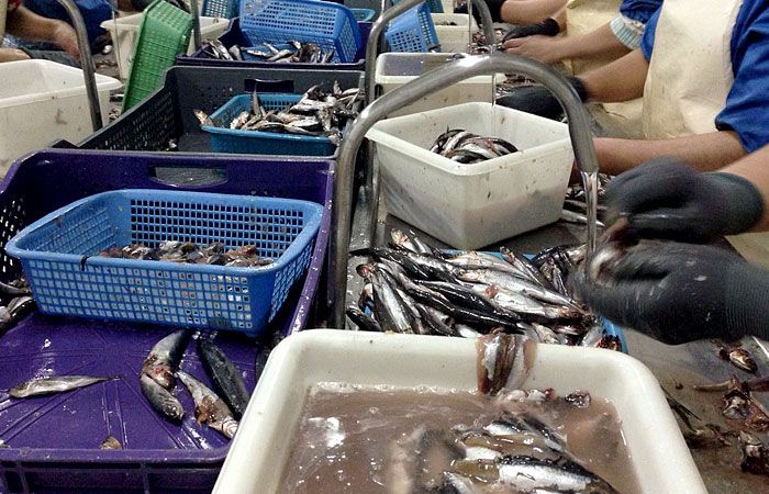 Zehazki, Valdemorokoa da eskuratutako enpresa | Argazkia: Aperitivos Iñaki Zehazki, Valdemorokoa da eskuratutako enpresa | Argazkia: Aperitivos Iñaki