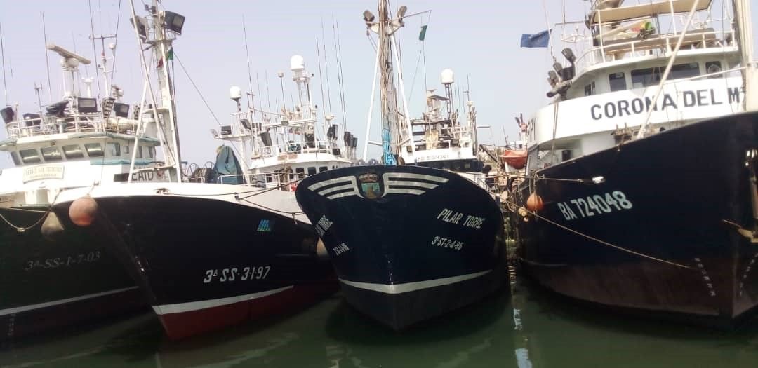 Senegalen lotutako lau atunontziak 2022an | Argazkia: Cepesca Senegalen lotutako lau atunontziak 2022an | Argazkia: Cepesca
