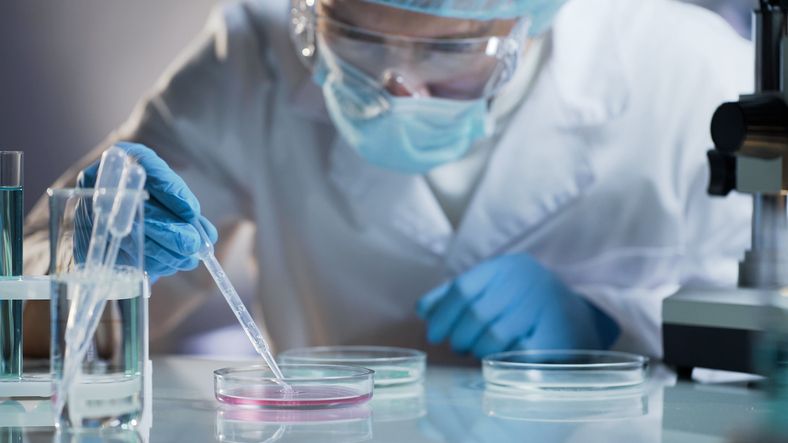 Fast Track Innobideak, Hazinnova eta BDIH Konexio dira programak | Argazkia: iStock