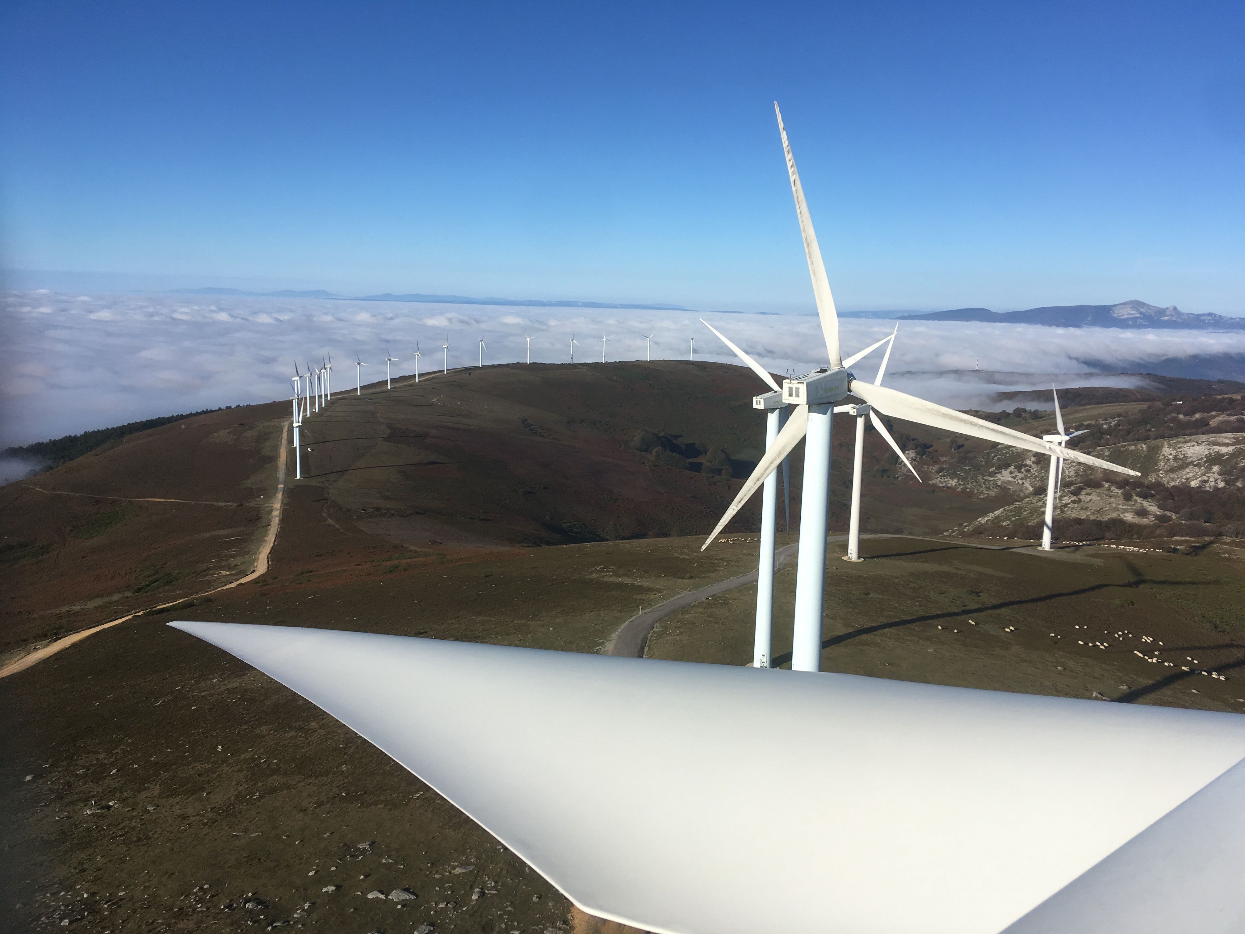 Urkillako parkea | Argazkia: Iberdrola Urkillako parkea | Argazkia: Iberdrola