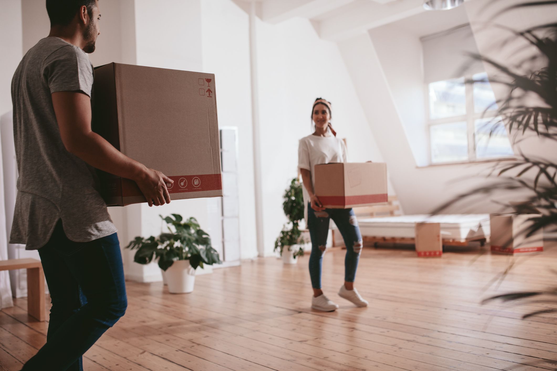 Lau hizkuntzatan prestatu dute gida | Argazkia: iStock