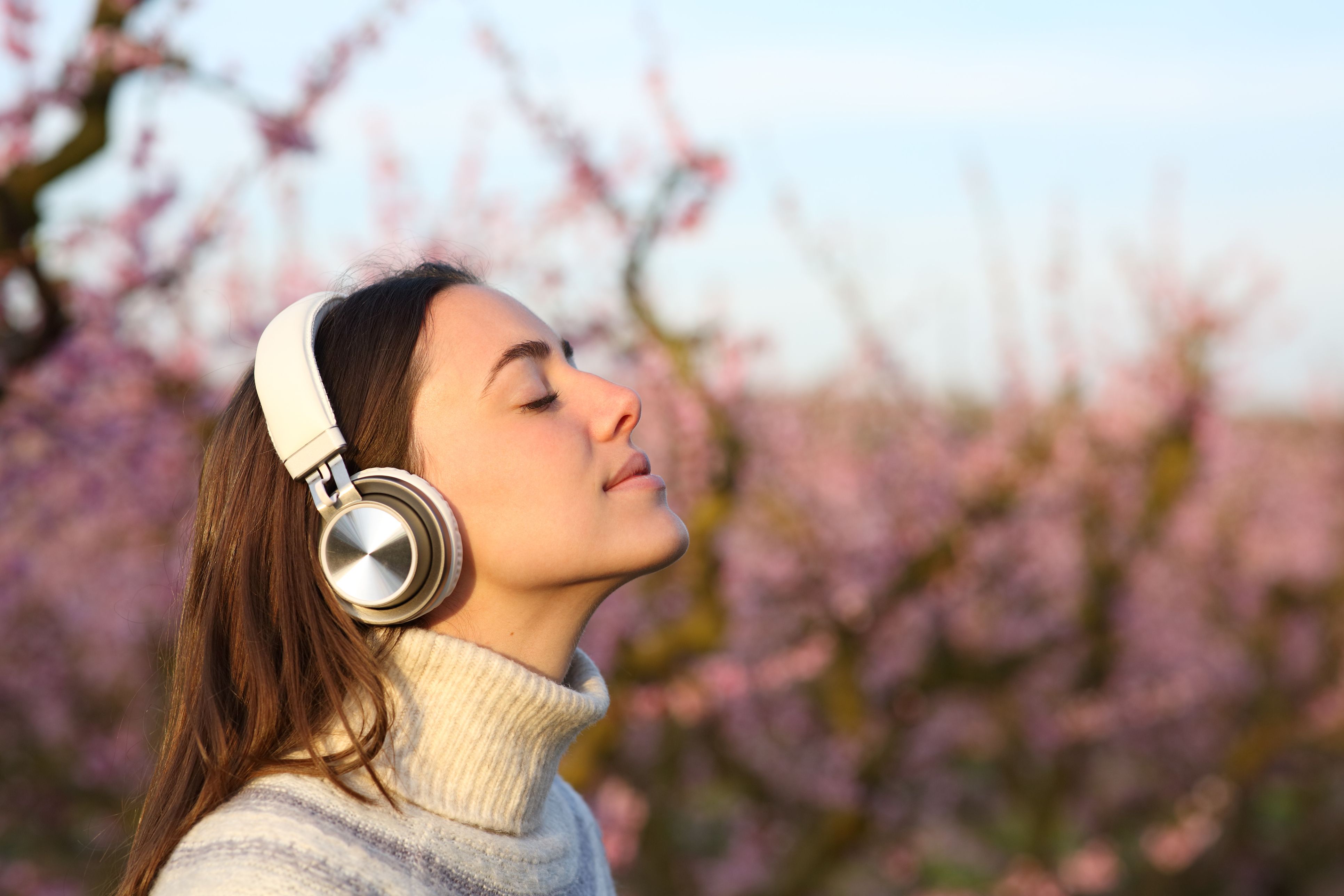 Argazkia: iStock