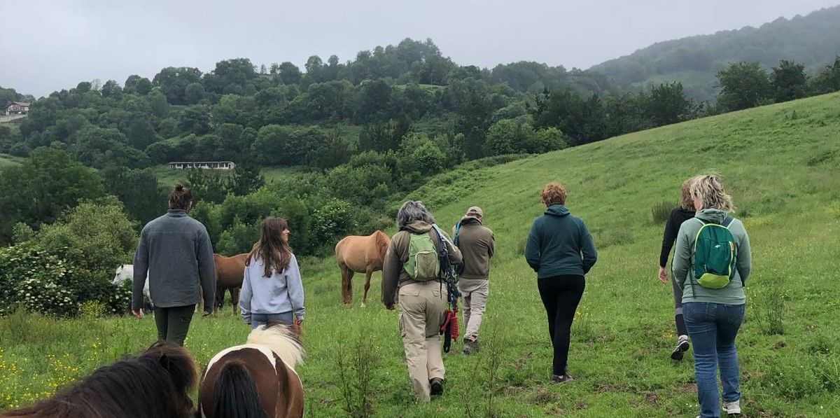 Caballos del bosquek klub hipiko tradizionaletik harago joan nahi du | Argazkia: utzitakoa