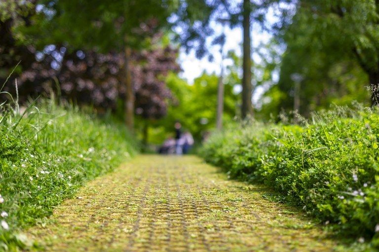 Argazkia: ELA sindikatua