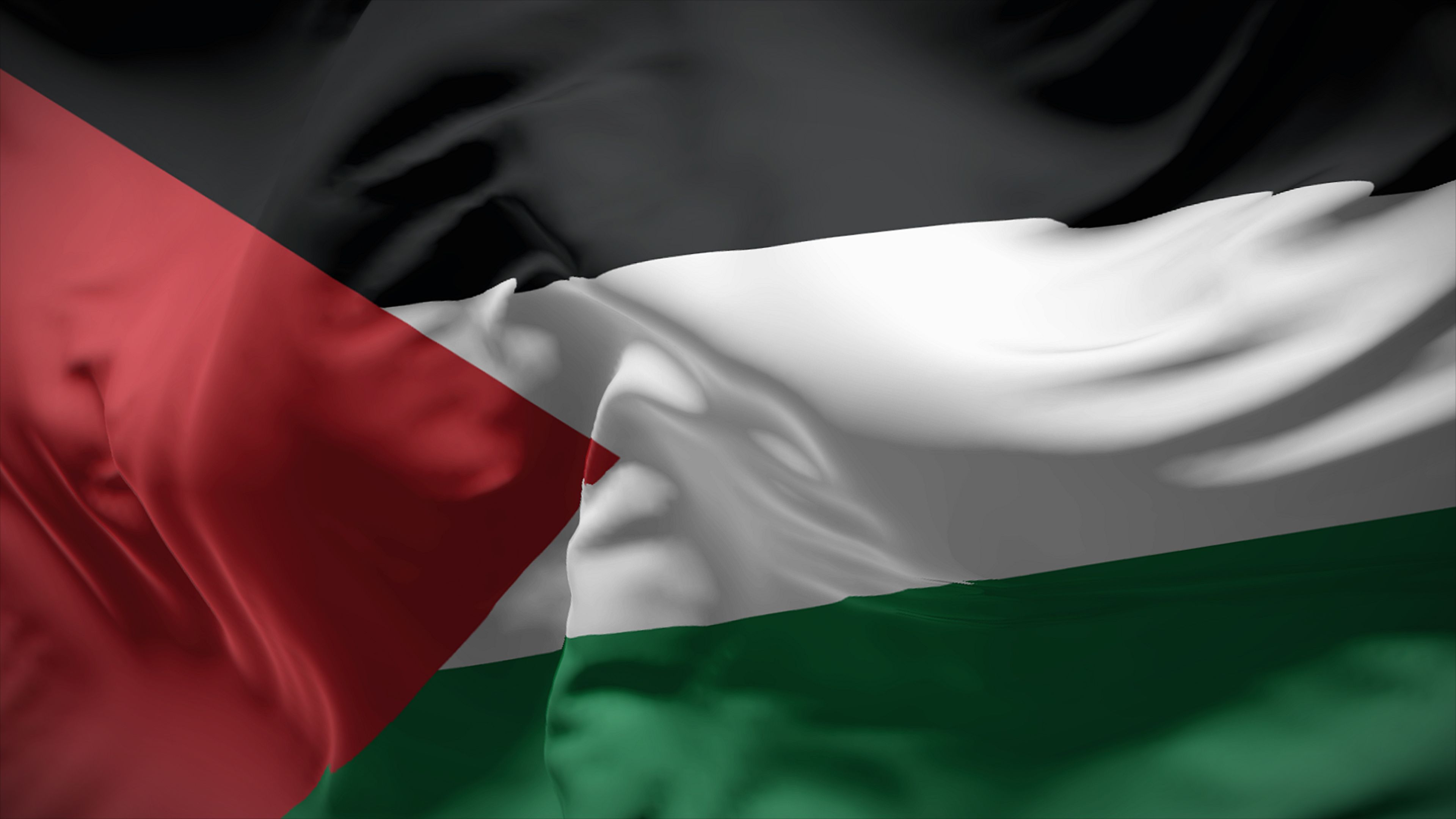 Palestinako bandera | Argazkia: iStock