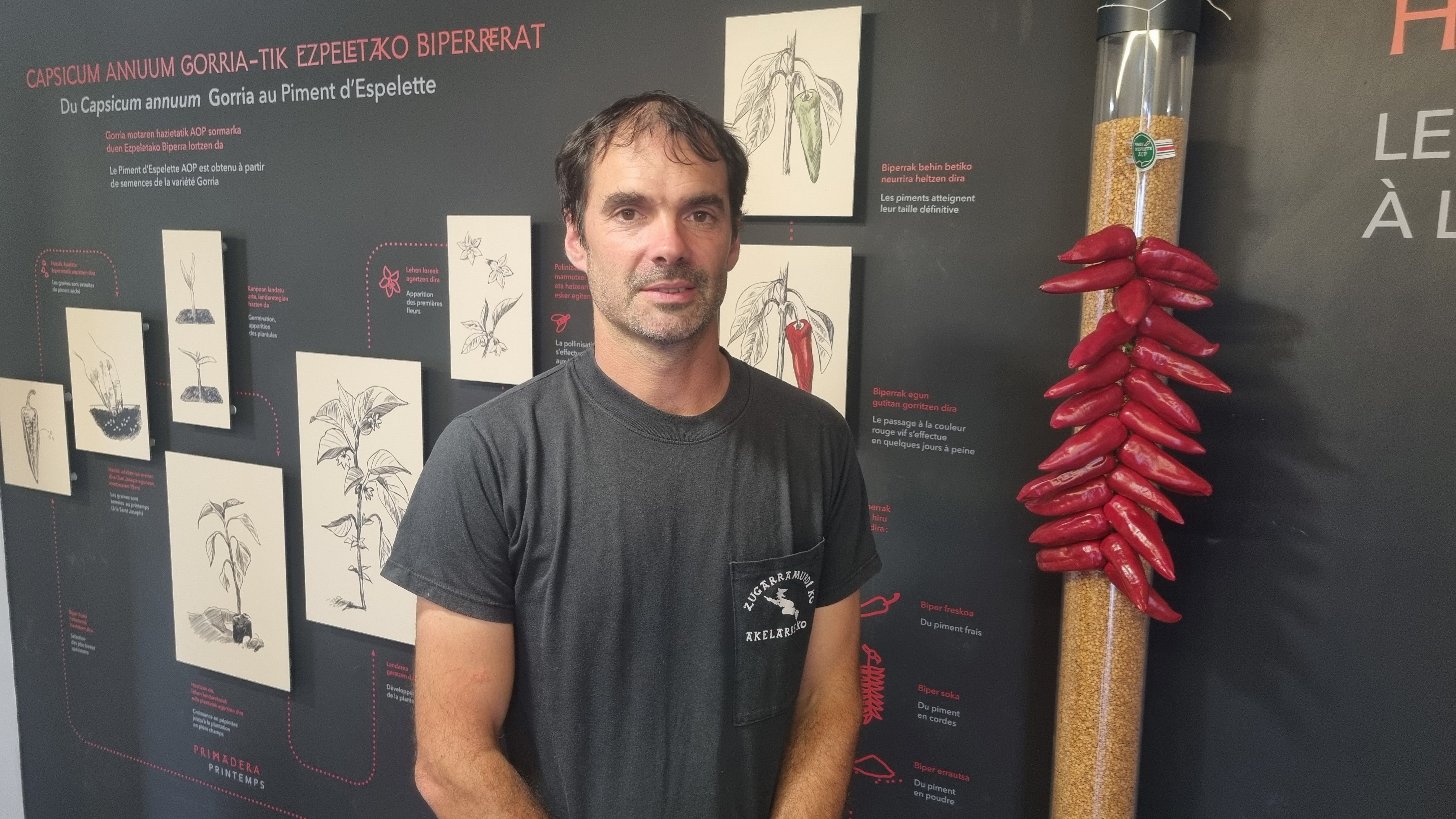 Panpi Olaizola, Ezpeletako piperraren sindikatuaren presidentea | Argazkia: Franck Dolosor