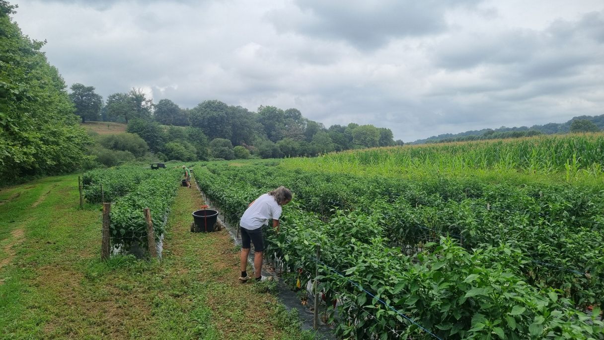 20250826 115947 20250826 115947