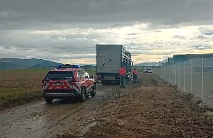 Argazkia: Foruzaingoa Argazkia: Foruzaingoa