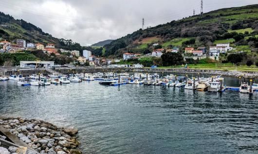 Zierbena | Argazkia: Irekia Zierbena | Argazkia: Irekia