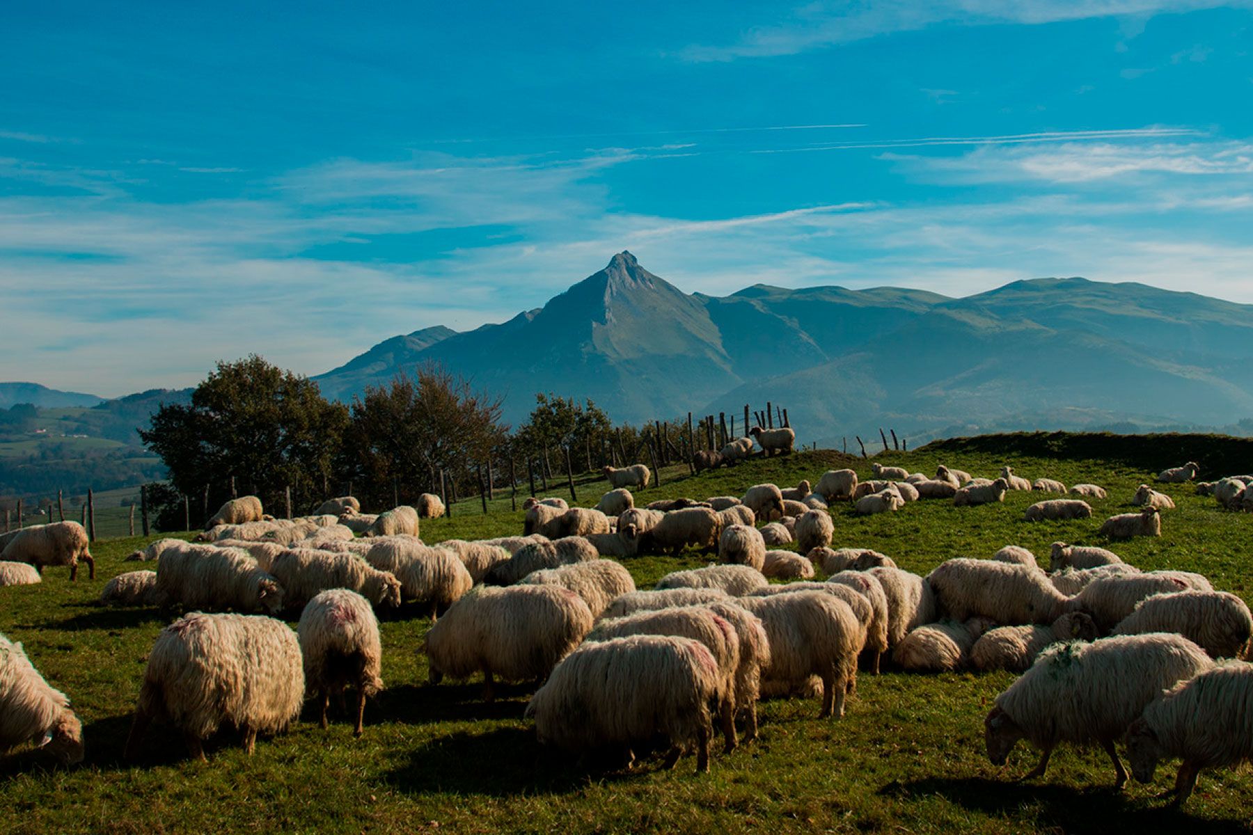 Guztira 4,7 milioi euro erabiliko dira bi laguntzetarako | Argazkia: Gipuzkoako Foru Aldundia