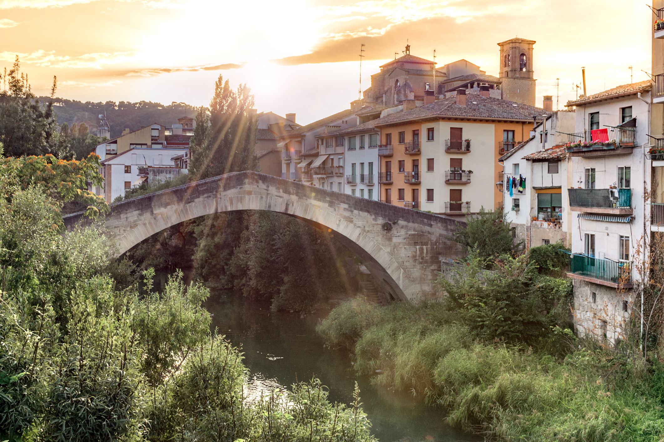 Lizarra | Argazkia: iStock