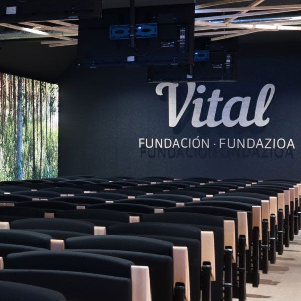 Argazkia: Vital Fundazioa 