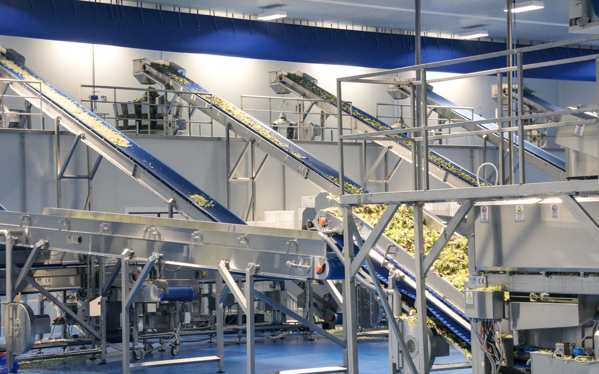 Argazkia: Huerta de Peralta