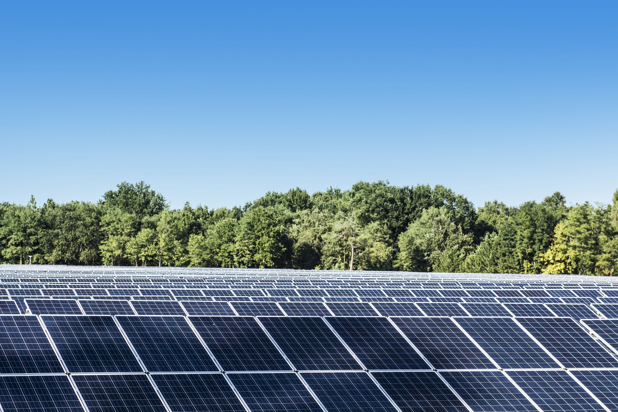 Parke fotovoltaiko bat | Argazkia: iStock