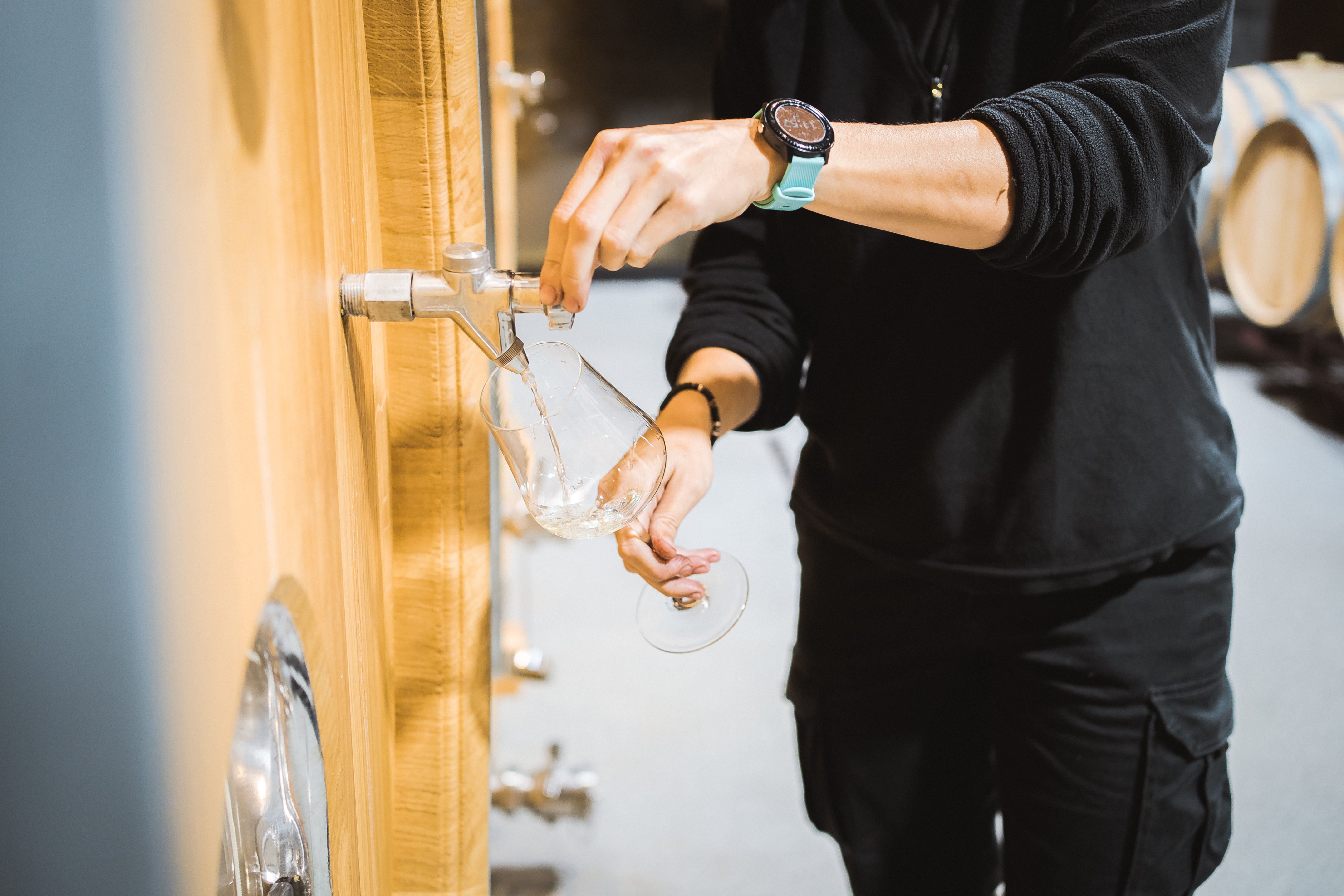 Argazkia: Bizkaiko Txakolina