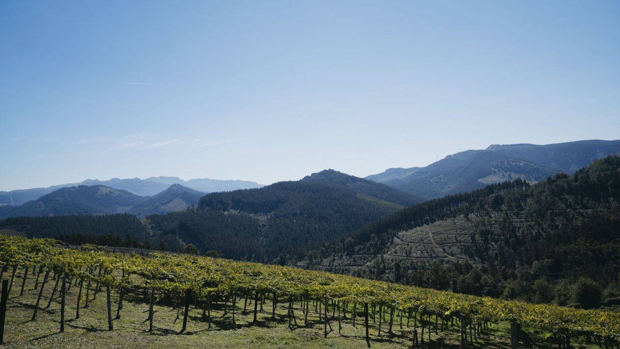 20240914 Mahasti Artean Sabado man╠âana Galanta Adrian Morote071