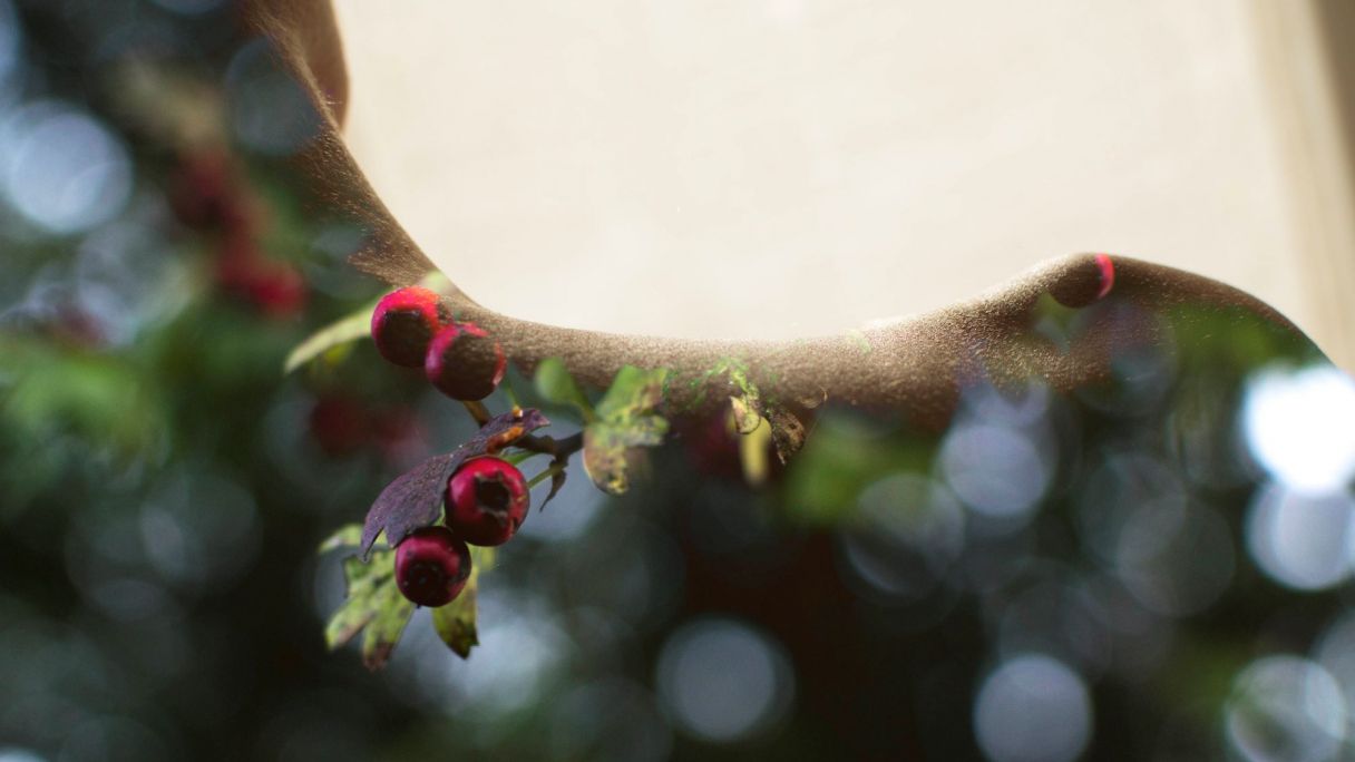 Ez berdin ez betirako