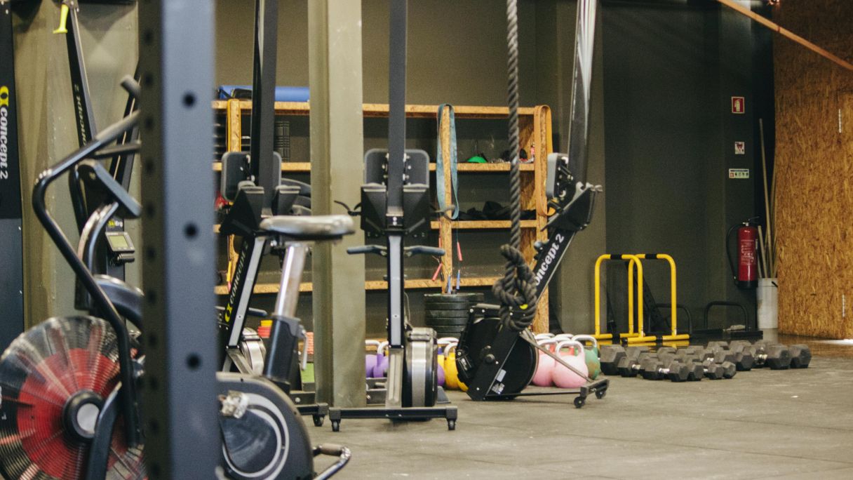 pexels tubarones 9545909