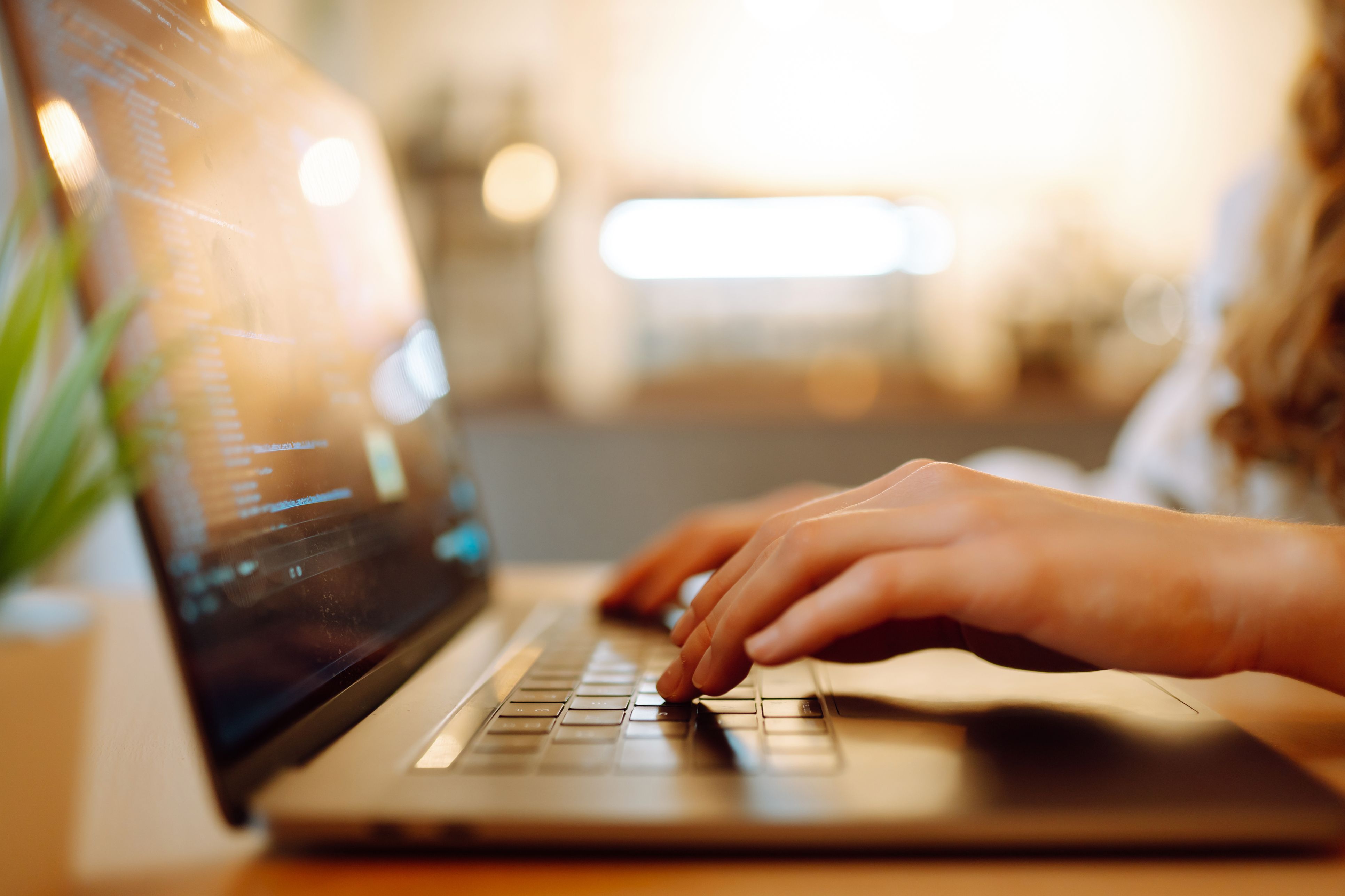 Argazkia: iStock Argazkia: iStock