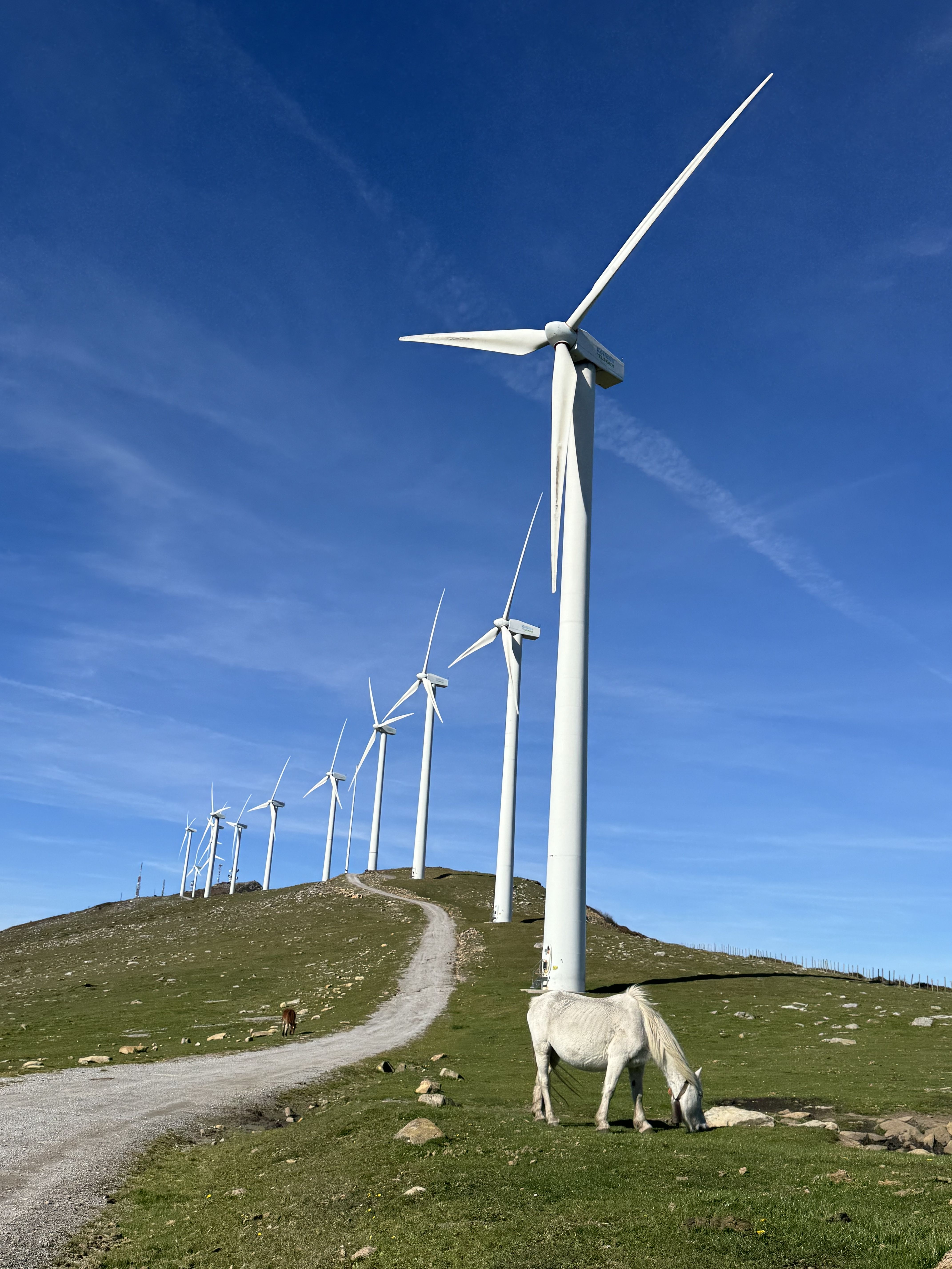 Oizeko (Bizkaia) parke eolikoa | Argazkia: Iberdrola
