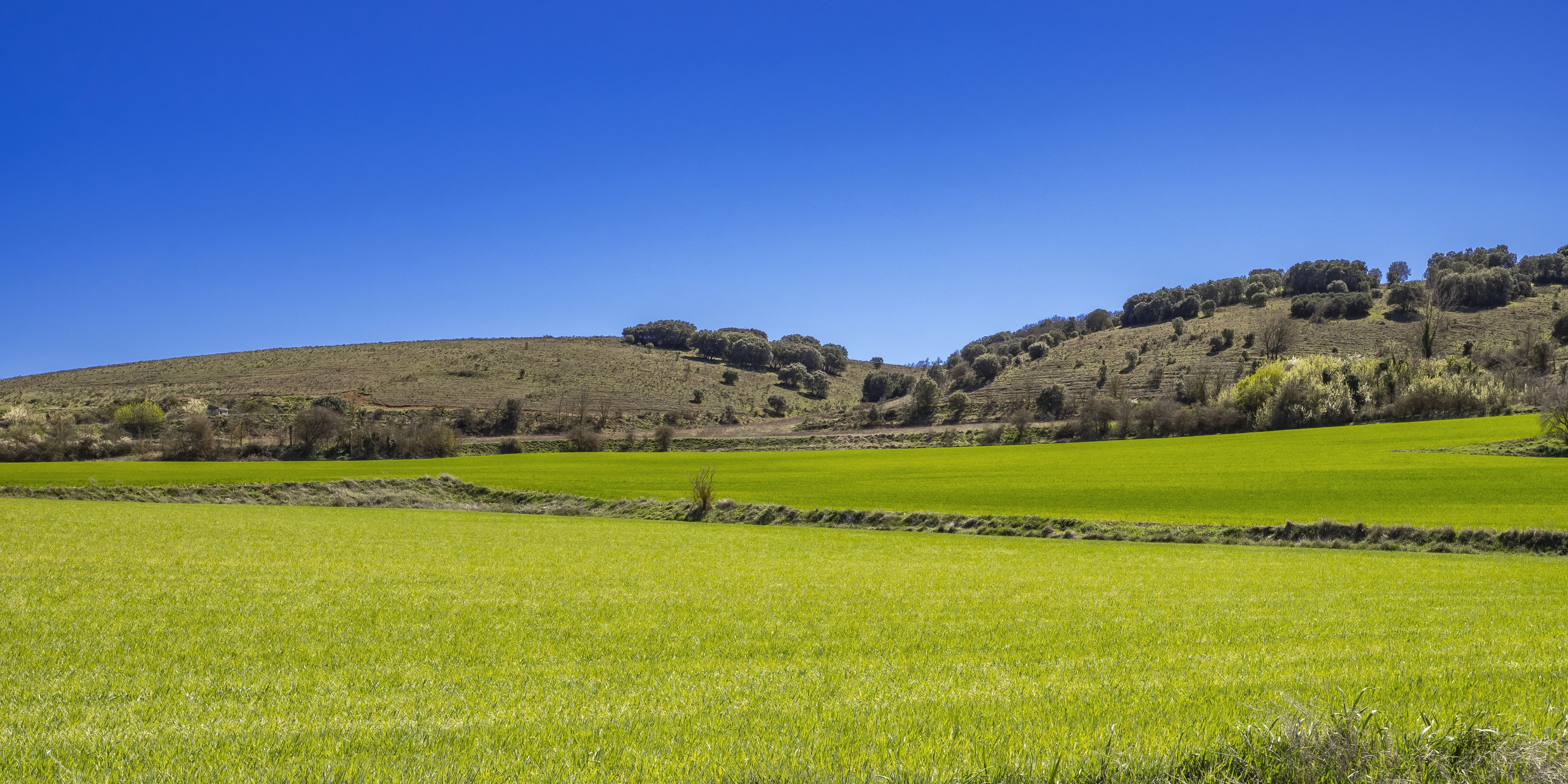 Argazkia: iStock Argazkia: iStock