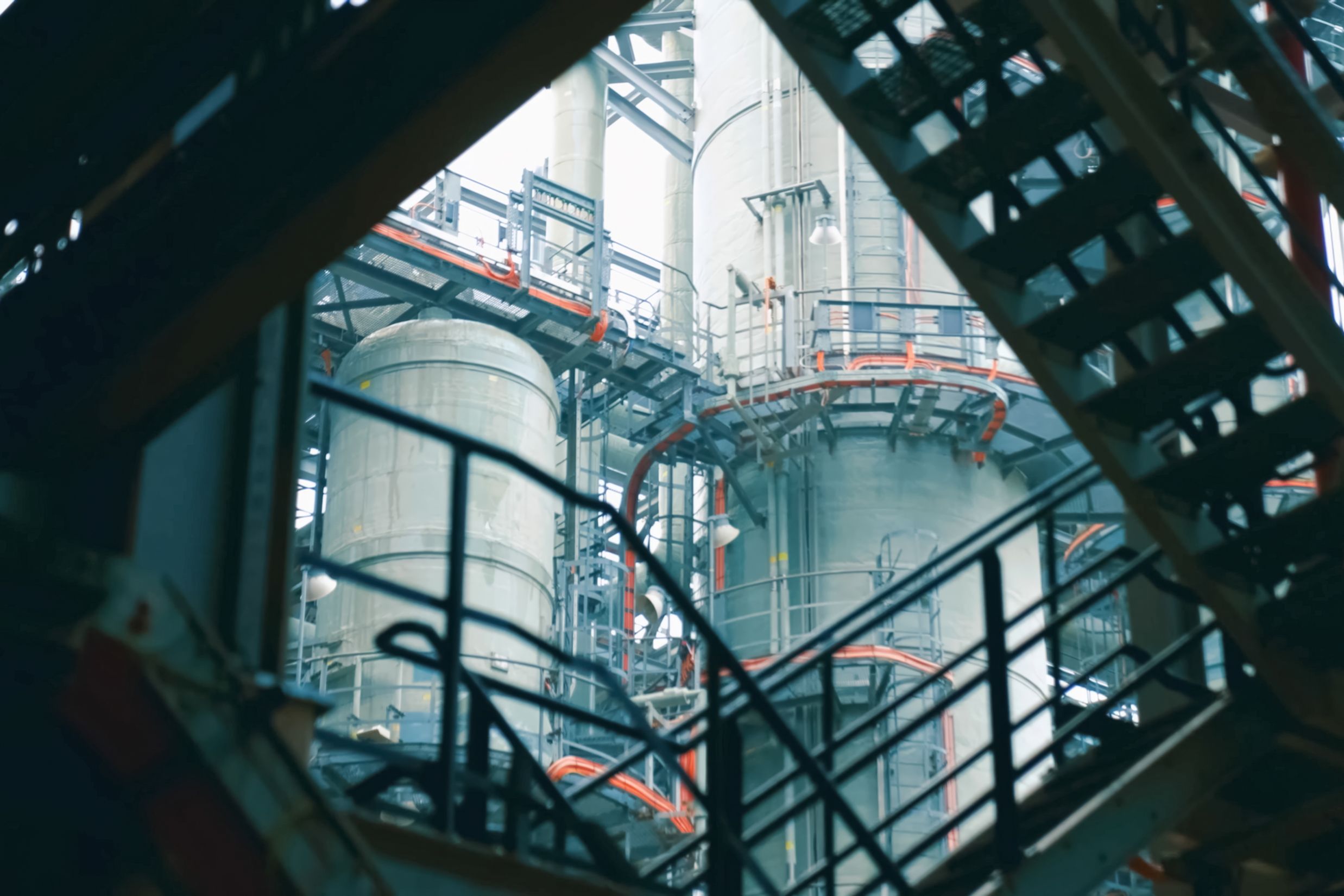 Argazkia: iStock Argazkia: iStock